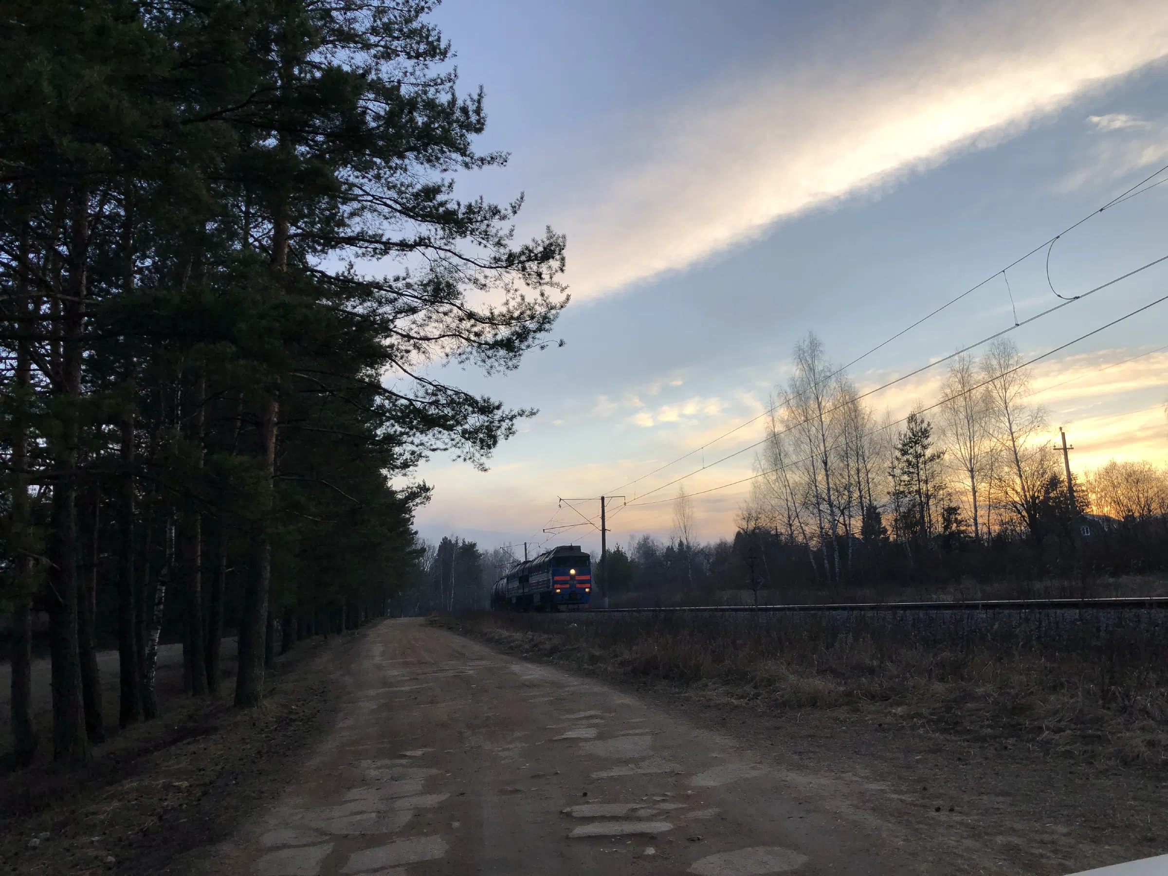 Железнодорожное полотно в лесу, фото 1