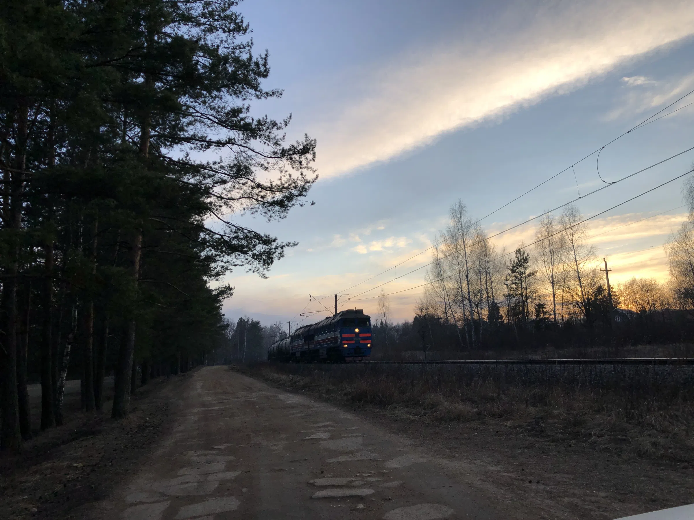 Железнодорожное полотно в лесу, фото 2