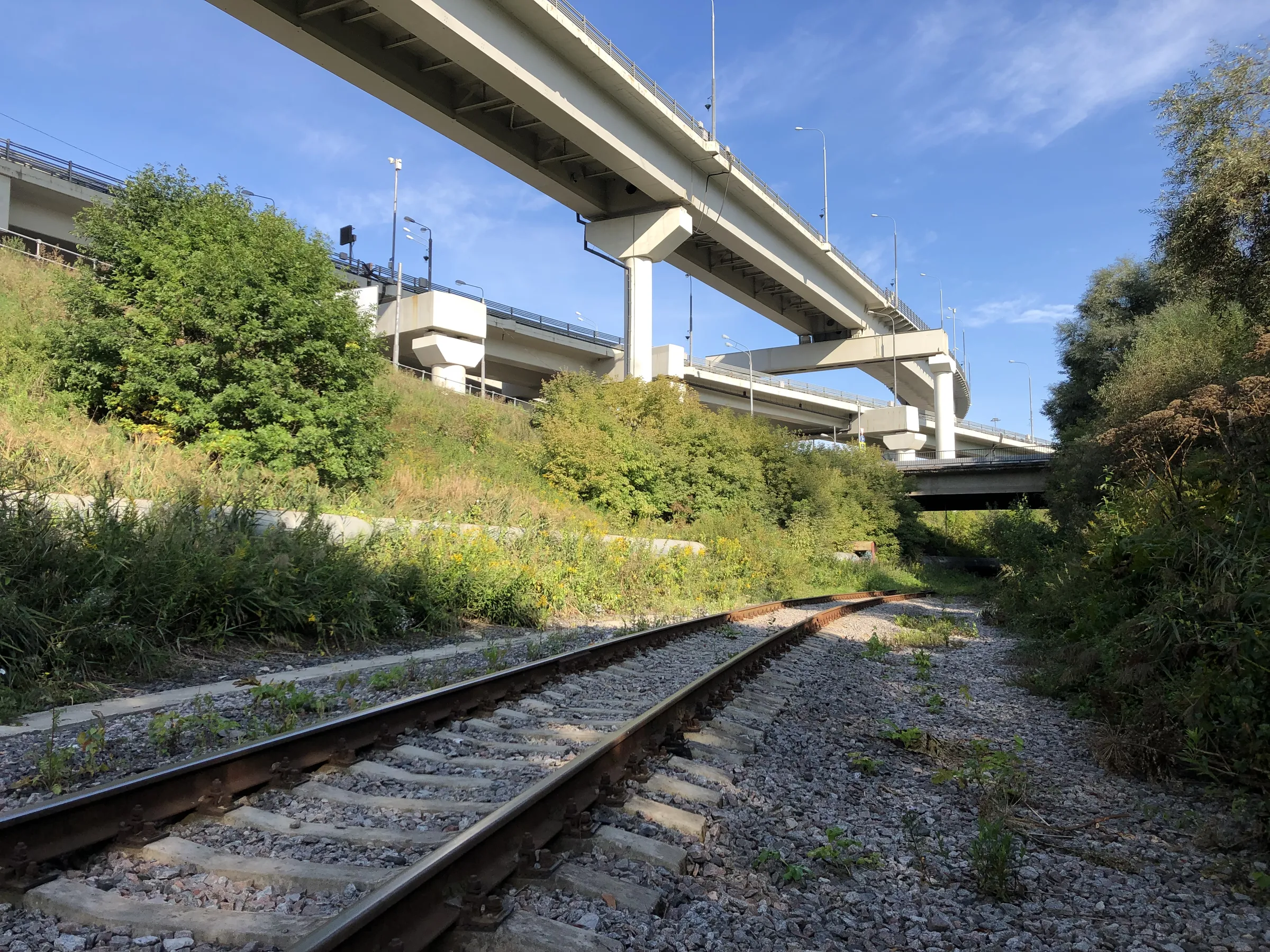 Путепровод в лесу, фото 19
