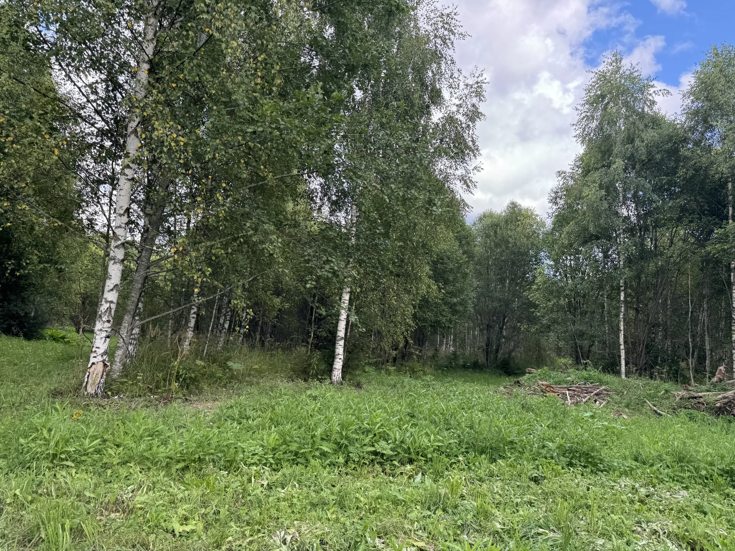 Дача у опушки леса, фото 12