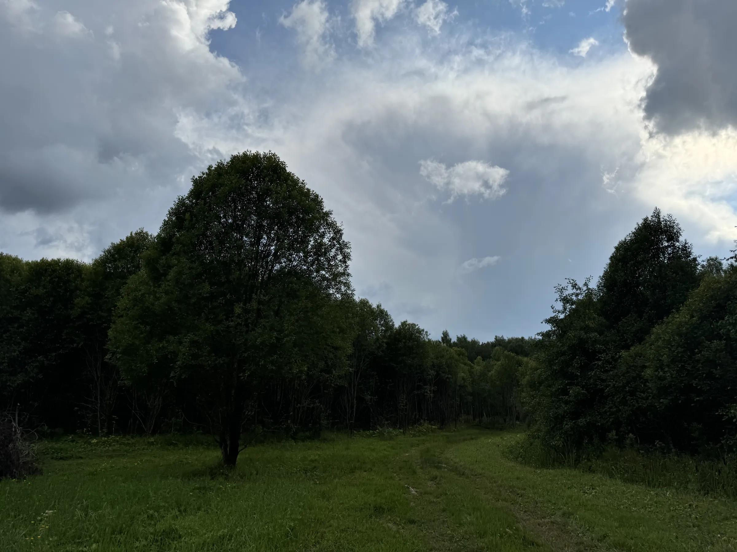 Дача у опушки леса, фото 4