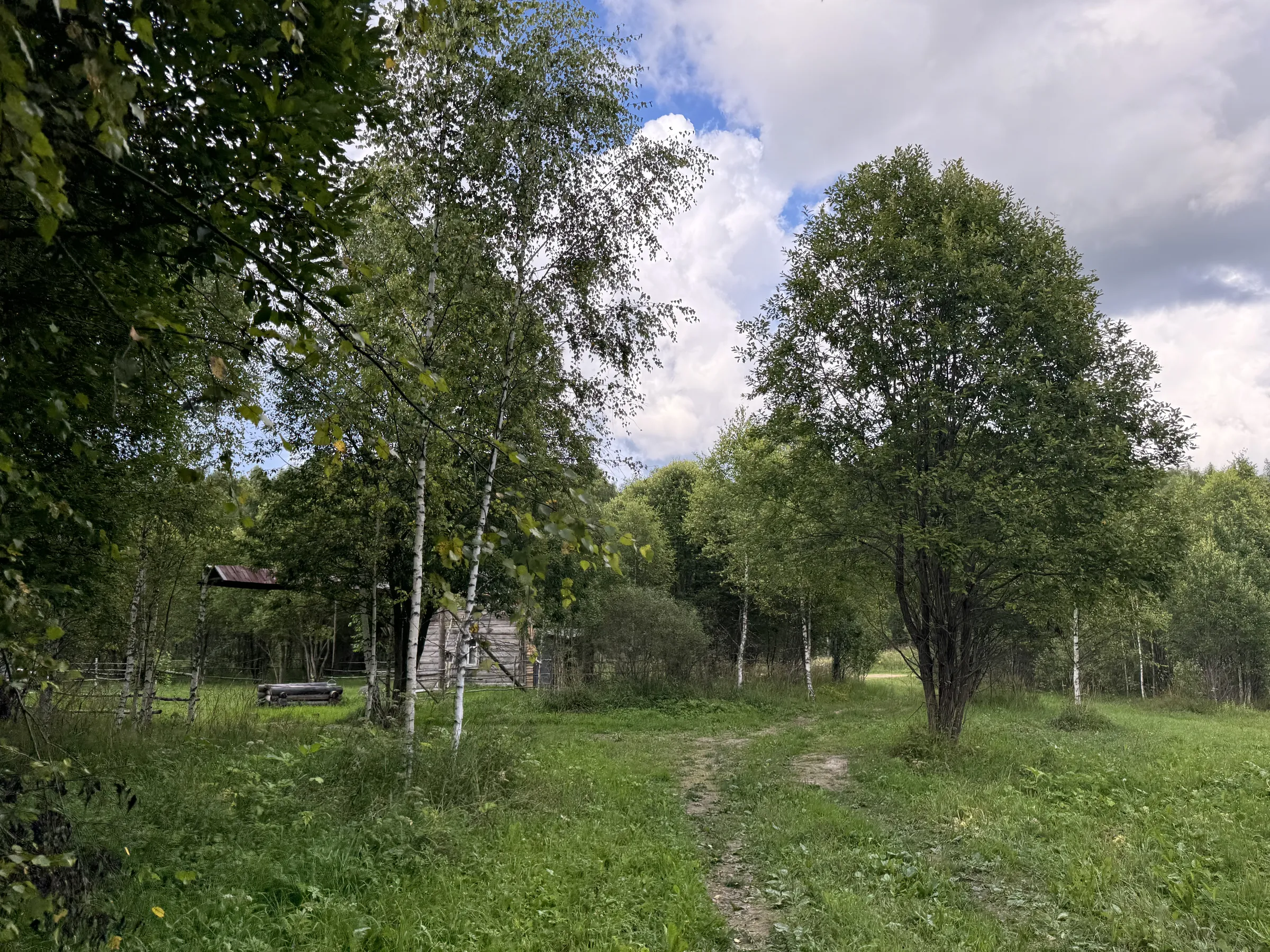 Дача у опушки леса, фото 16