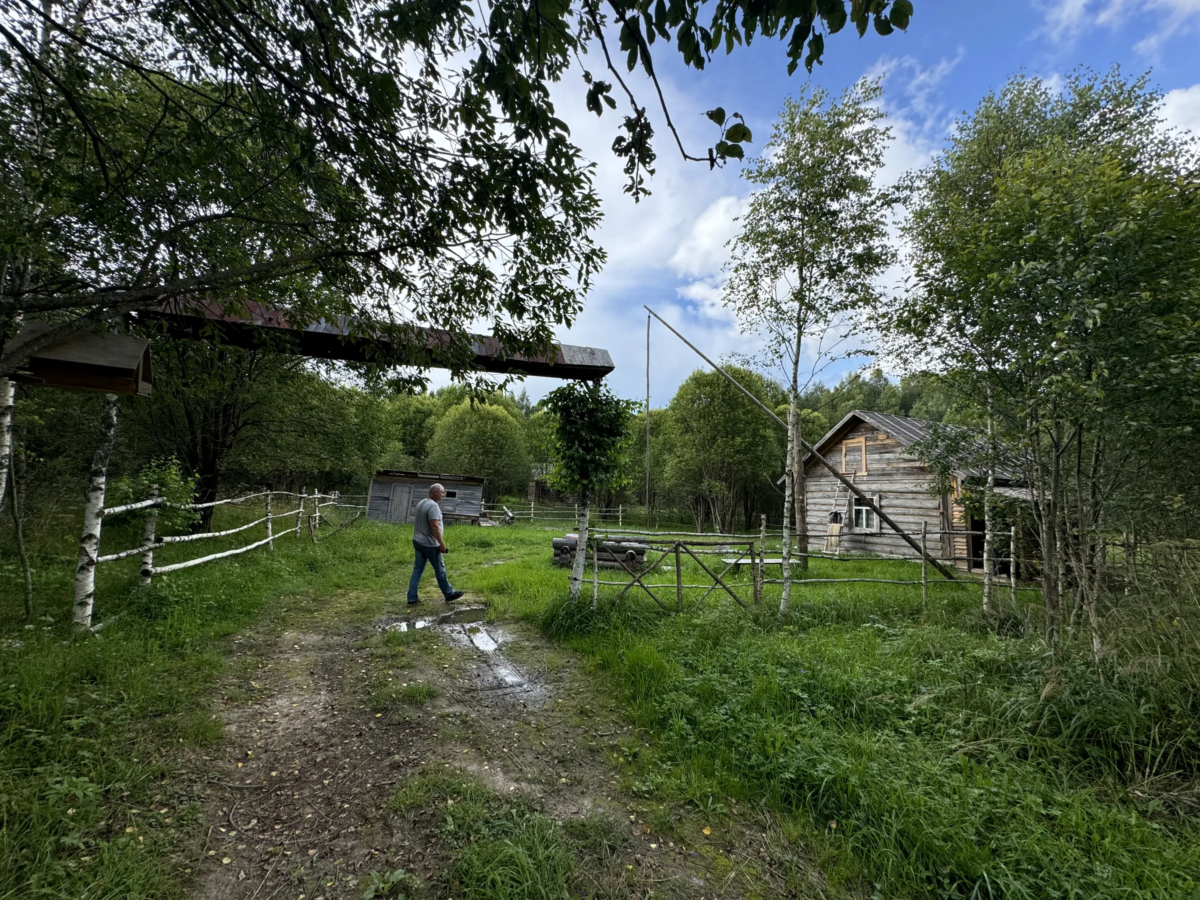 Дача у опушки леса, фото 17