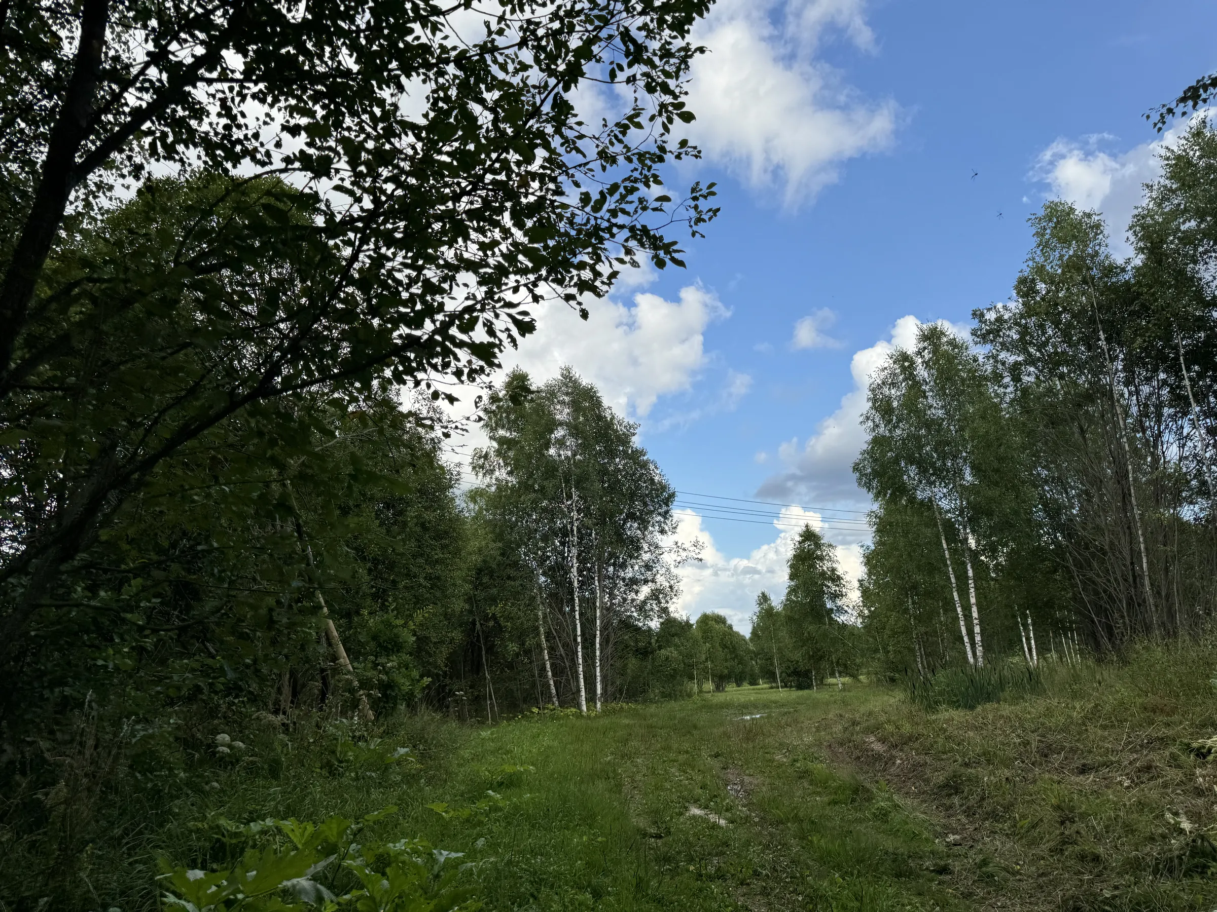 Дача у опушки леса, фото 13