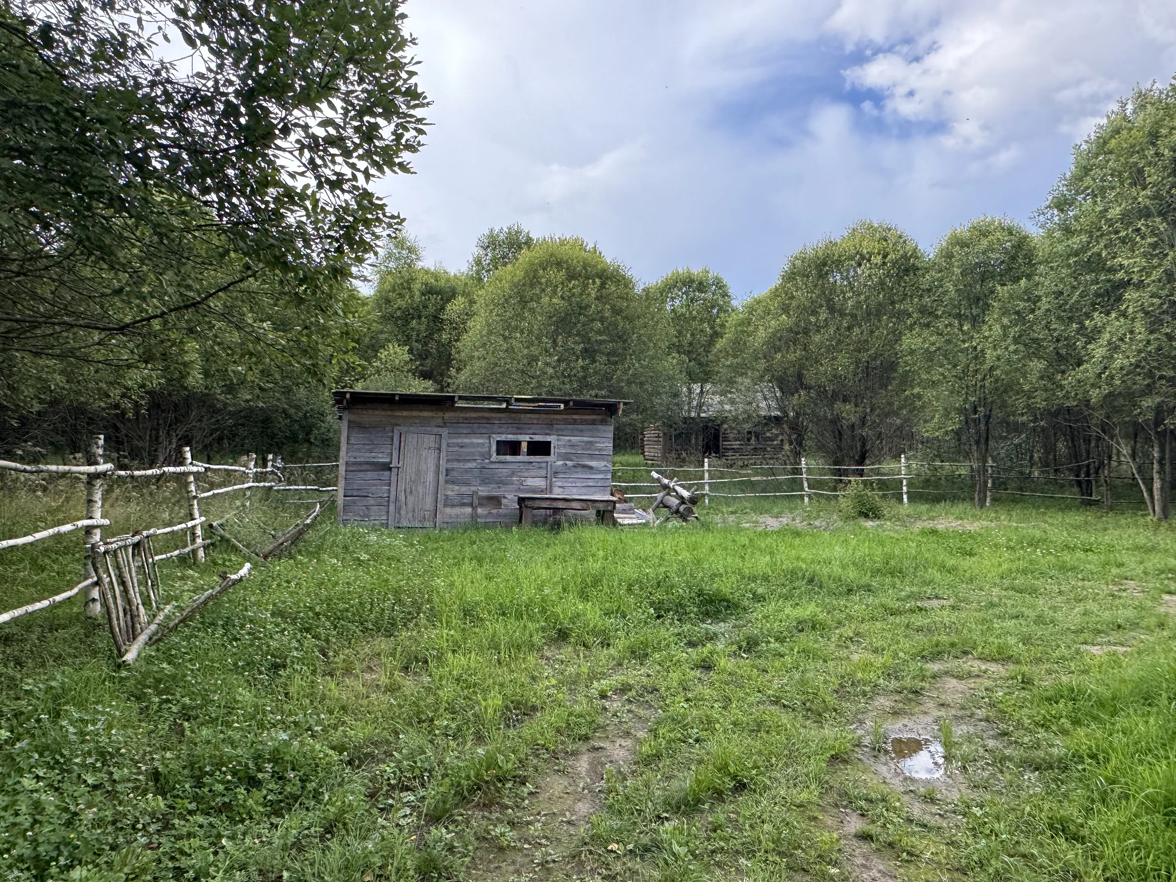 Дача у опушки леса, фото 18