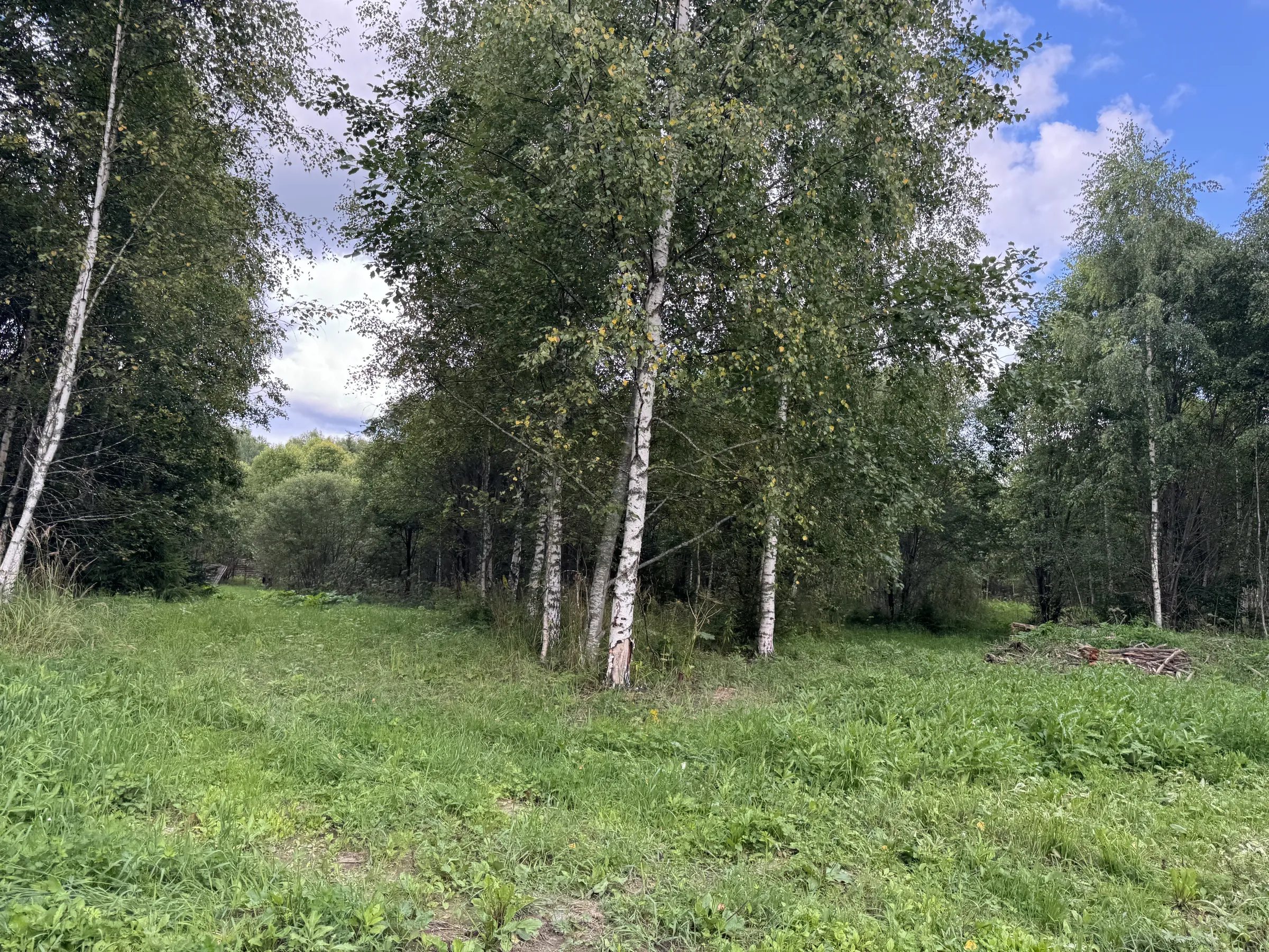 Дача у опушки леса, фото 11