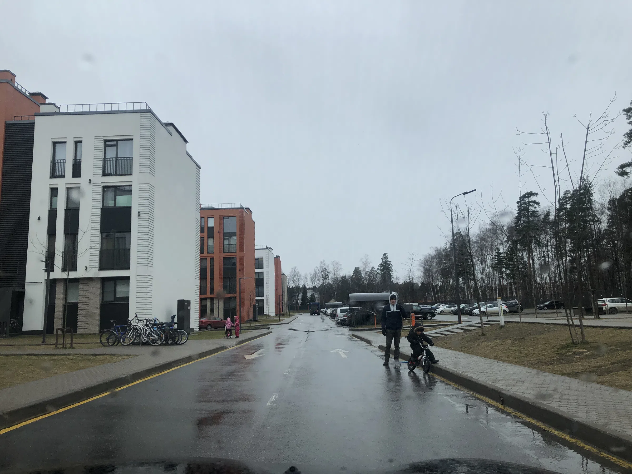Новостройка с красными коровами, фото 7