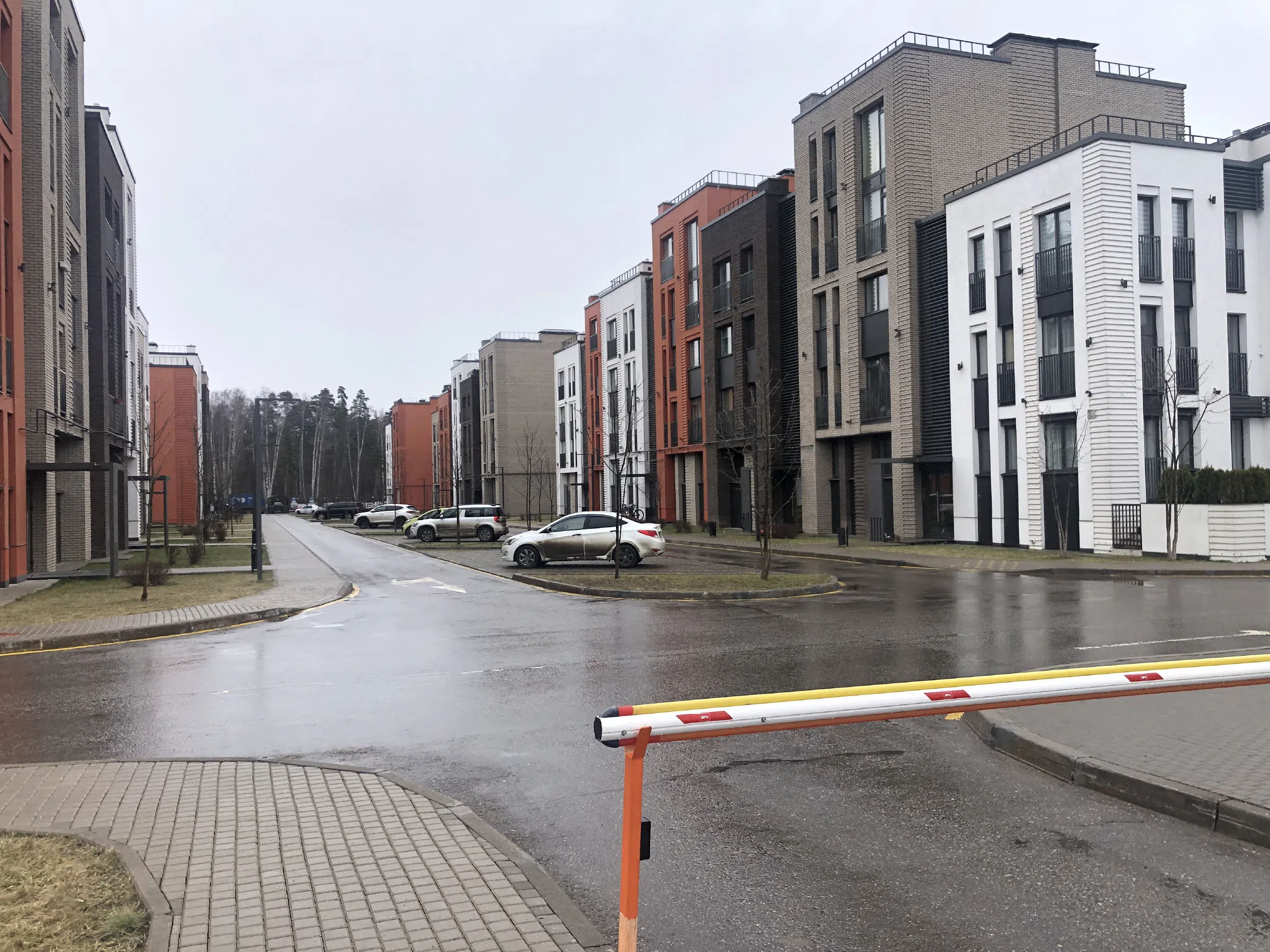 Новостройка с красными коровами, фото 8