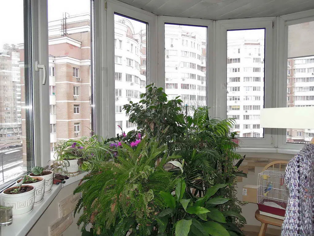 Квартира с темным холлом, фото 15