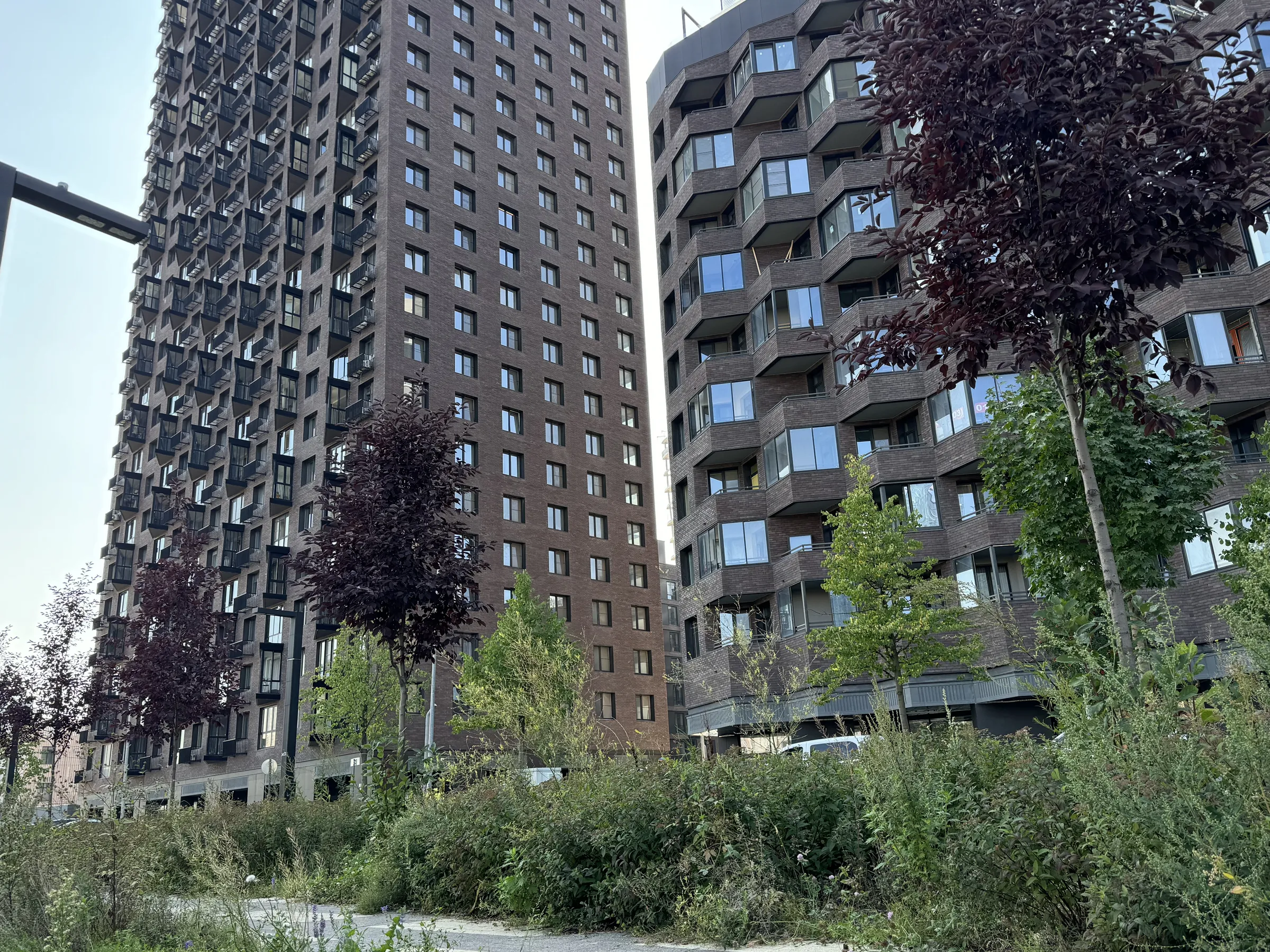 Парк с видом на город, фото 6