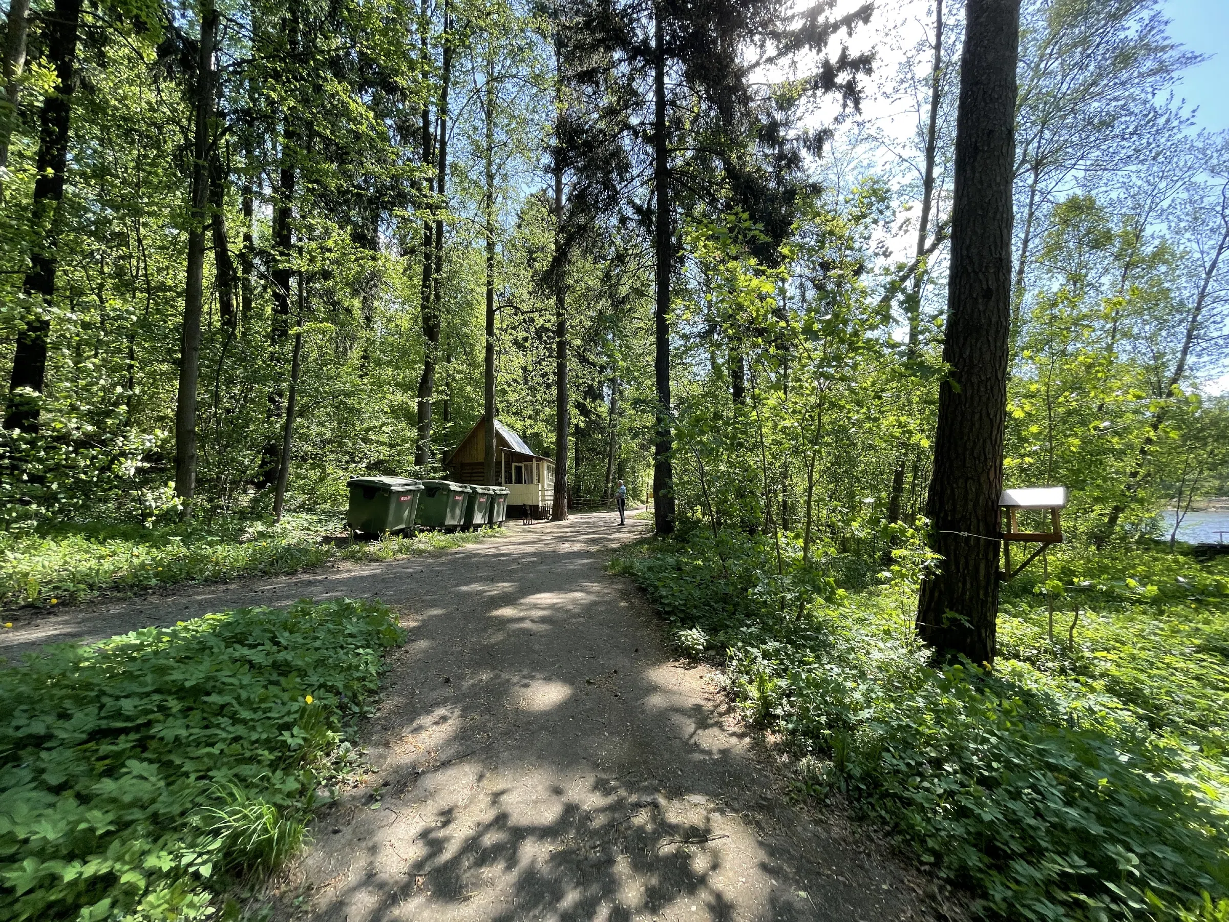 Дача у лесной реки, фото 7