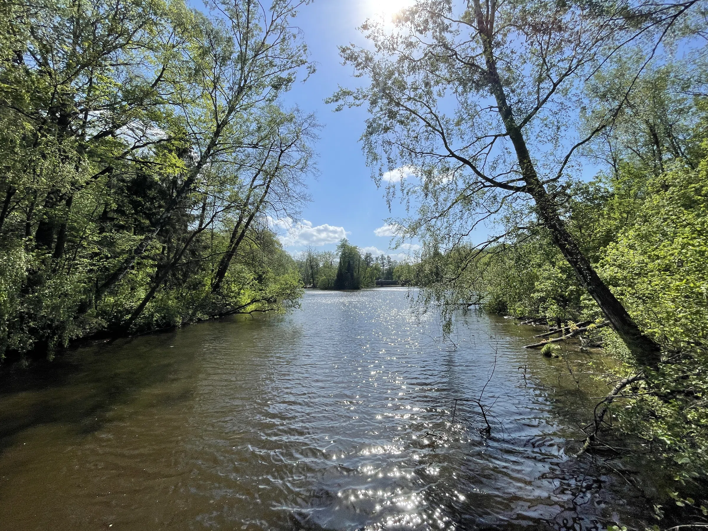 Дача у лесной реки, фото 2