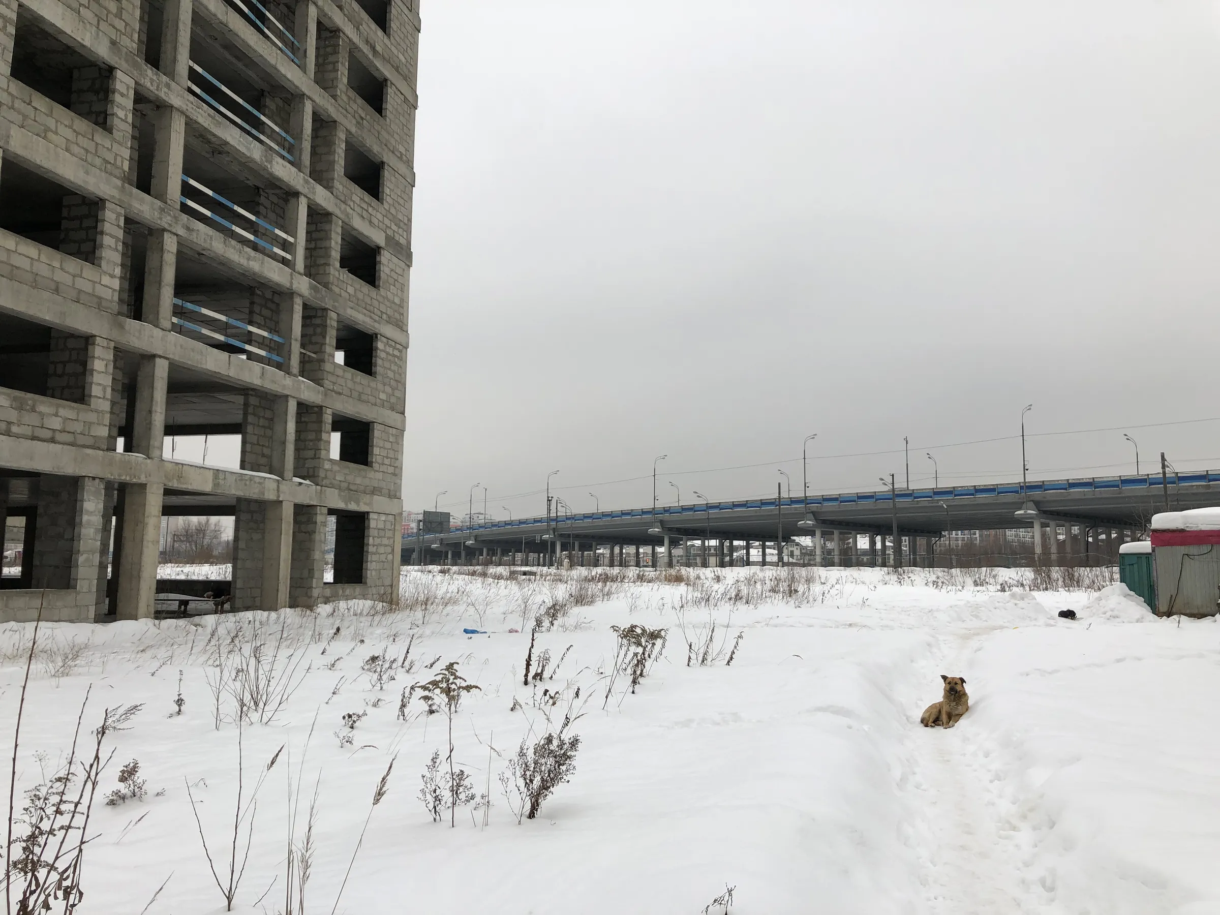 Бетонная коробка без стен, фото 2