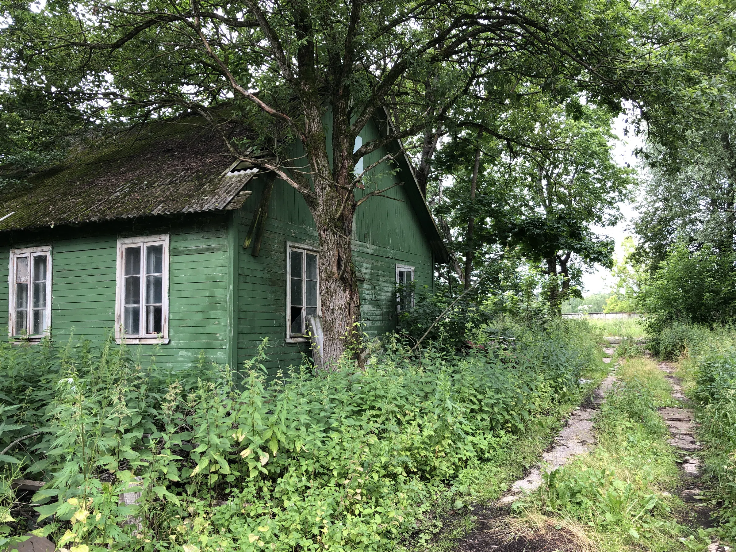 Заброшенное здание в лесу, фото 15