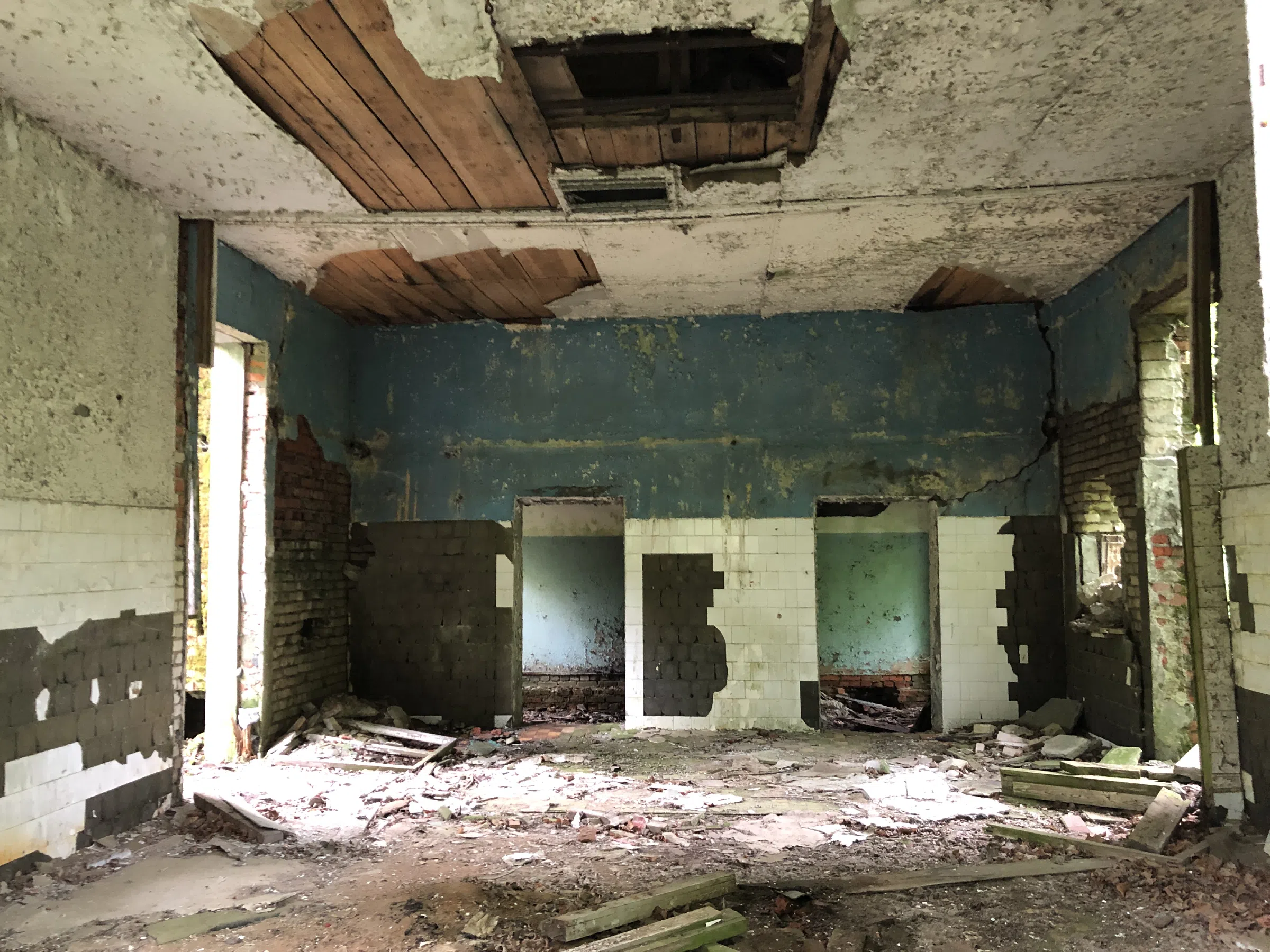Заброшенное здание в лесу, фото 19