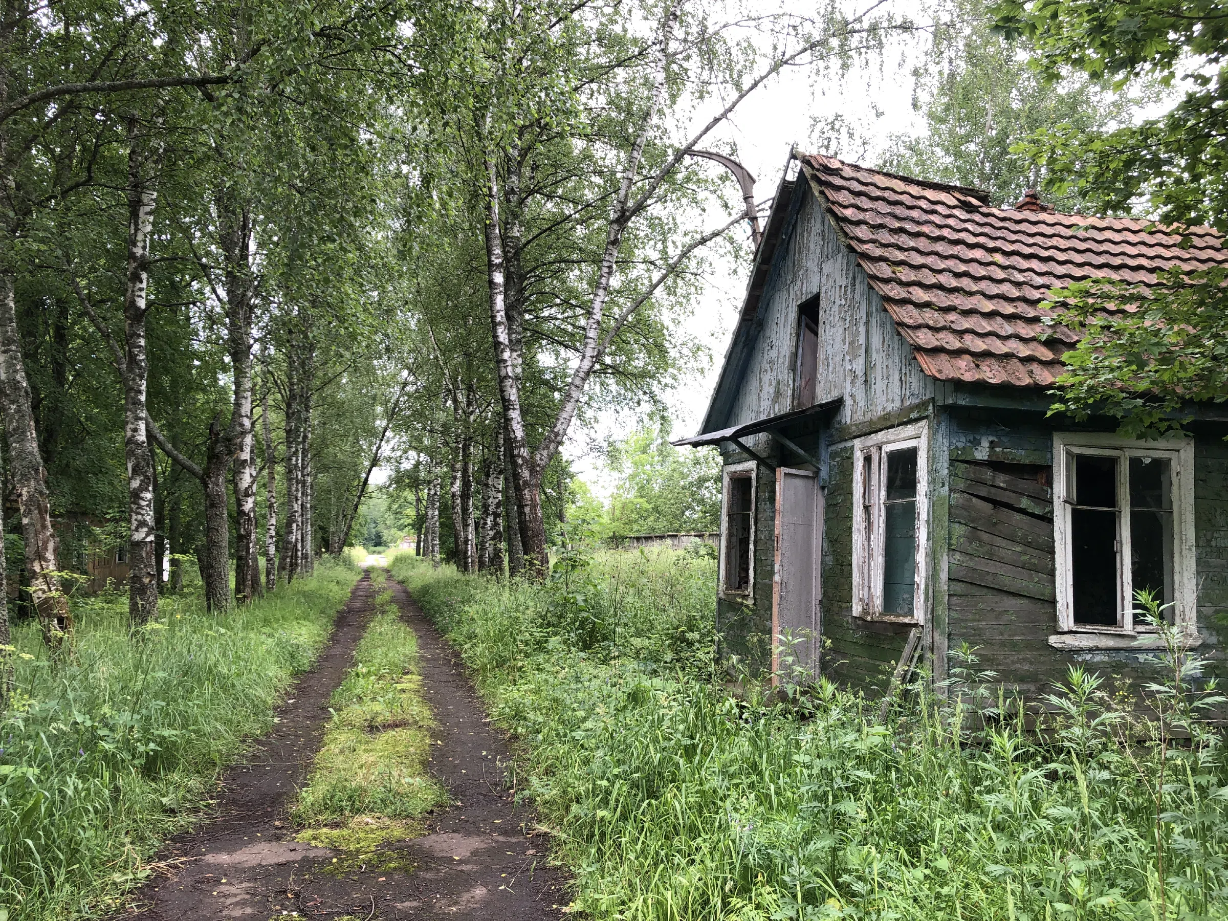 Заброшенное здание в лесу, фото 24