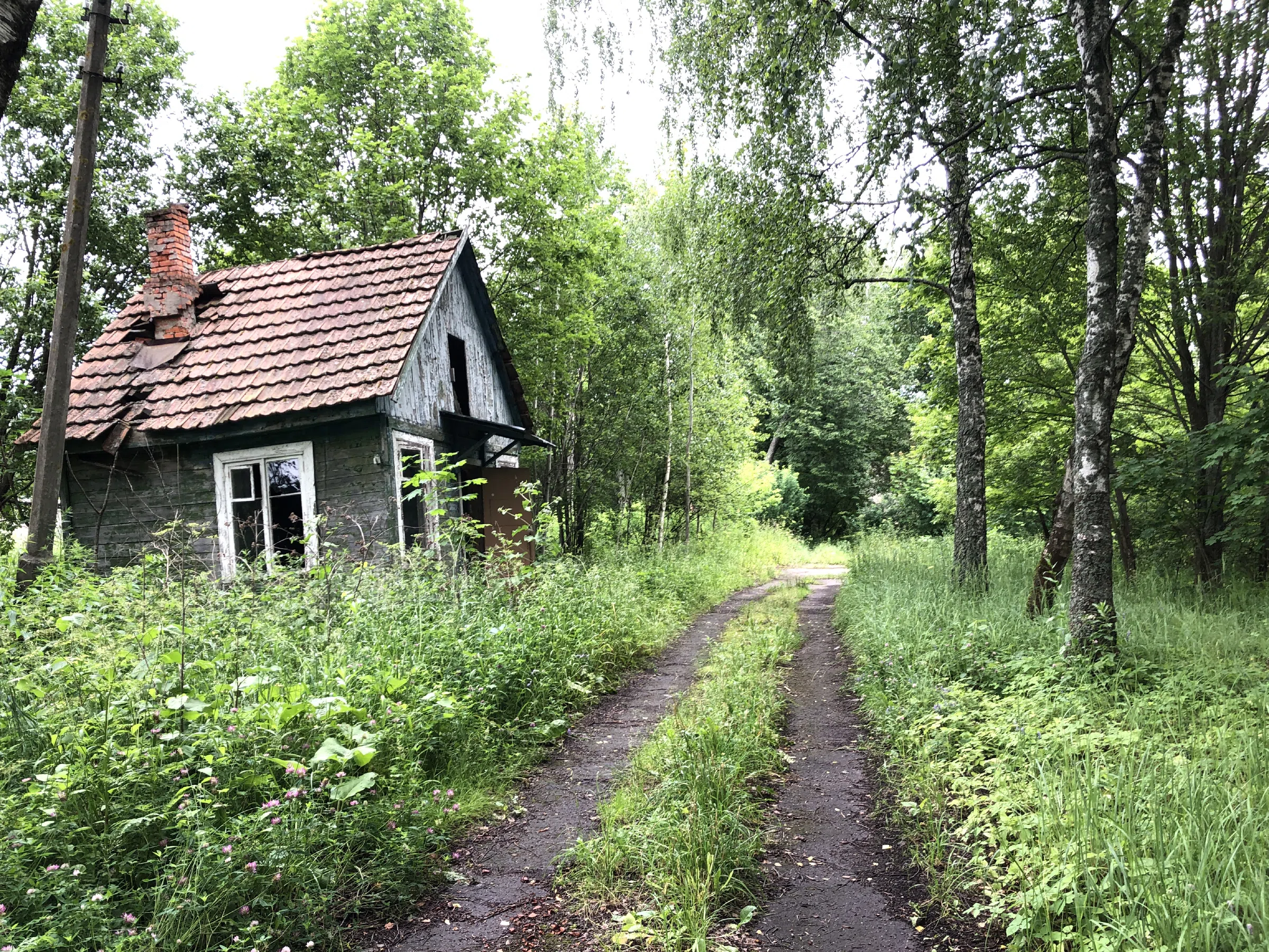 Заброшенное здание в лесу, фото 23