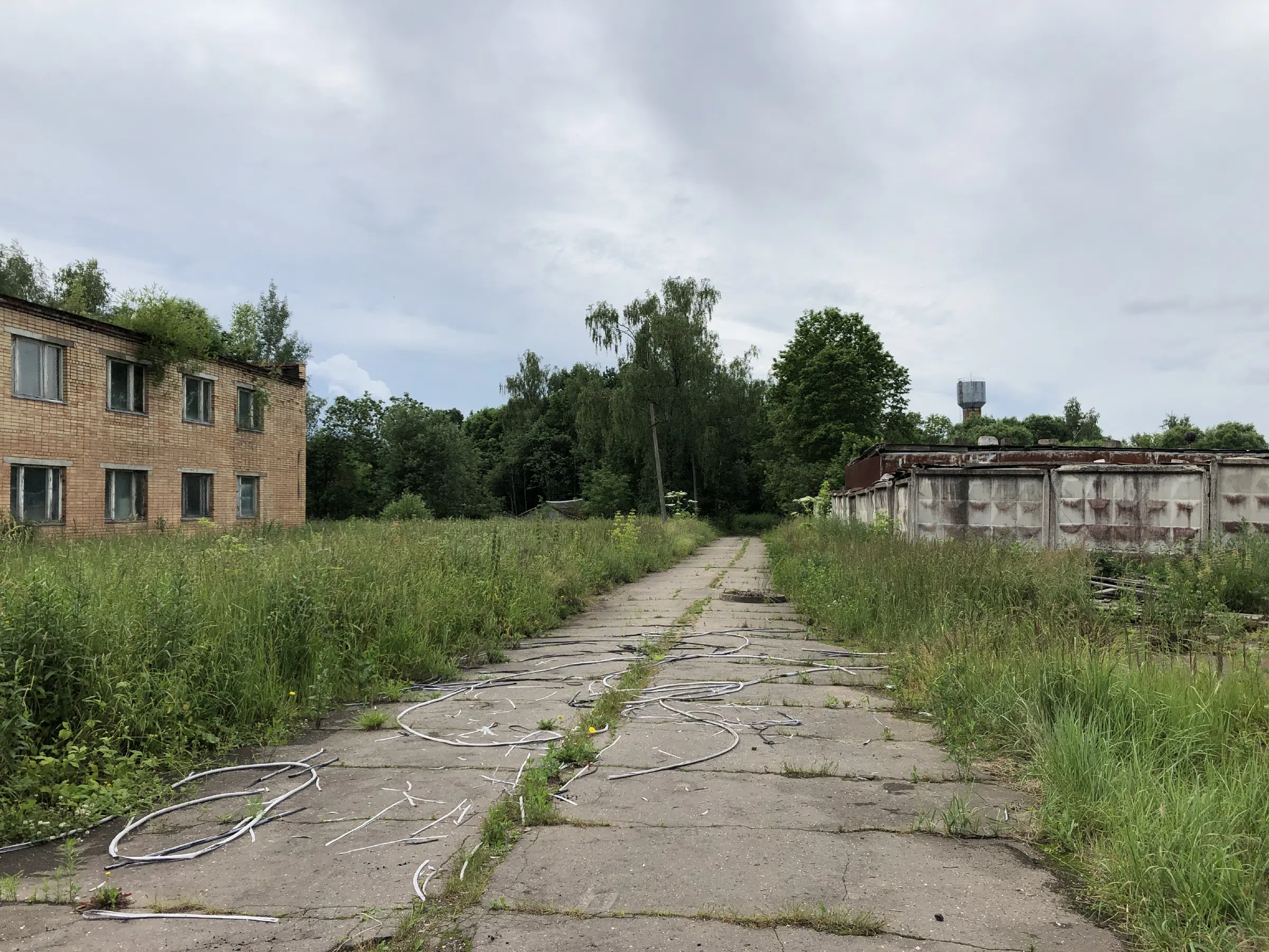 Заброшенное здание в лесу, фото 2