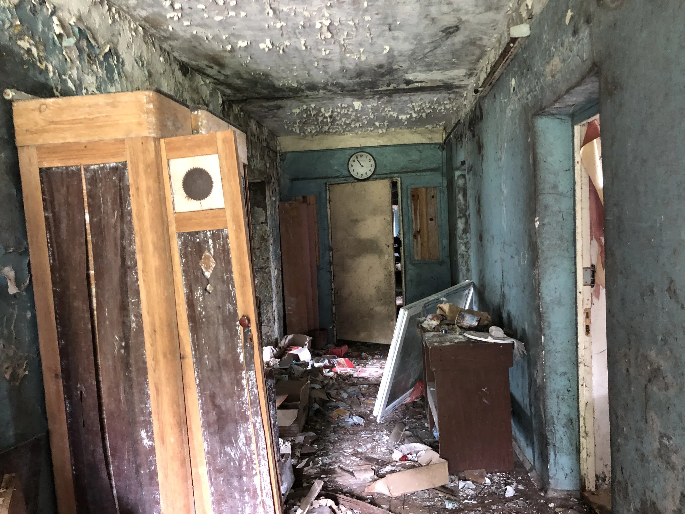 Заброшенное здание в лесу, фото 4