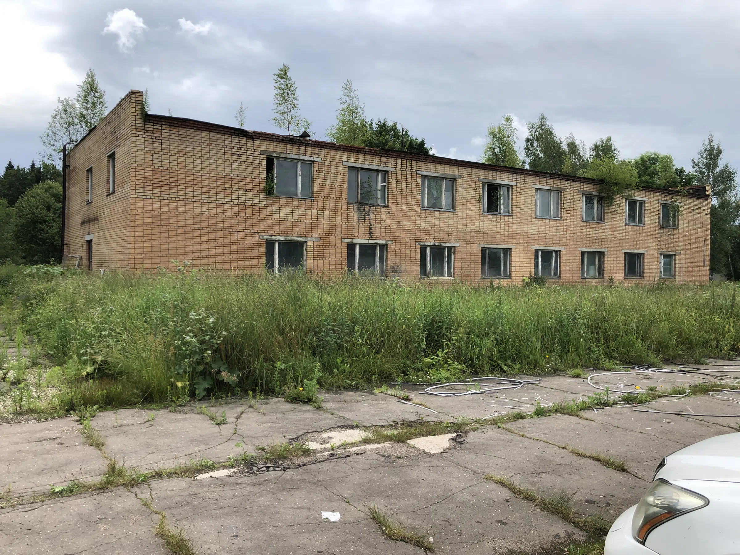 Заброшенное здание в лесу, фото 1