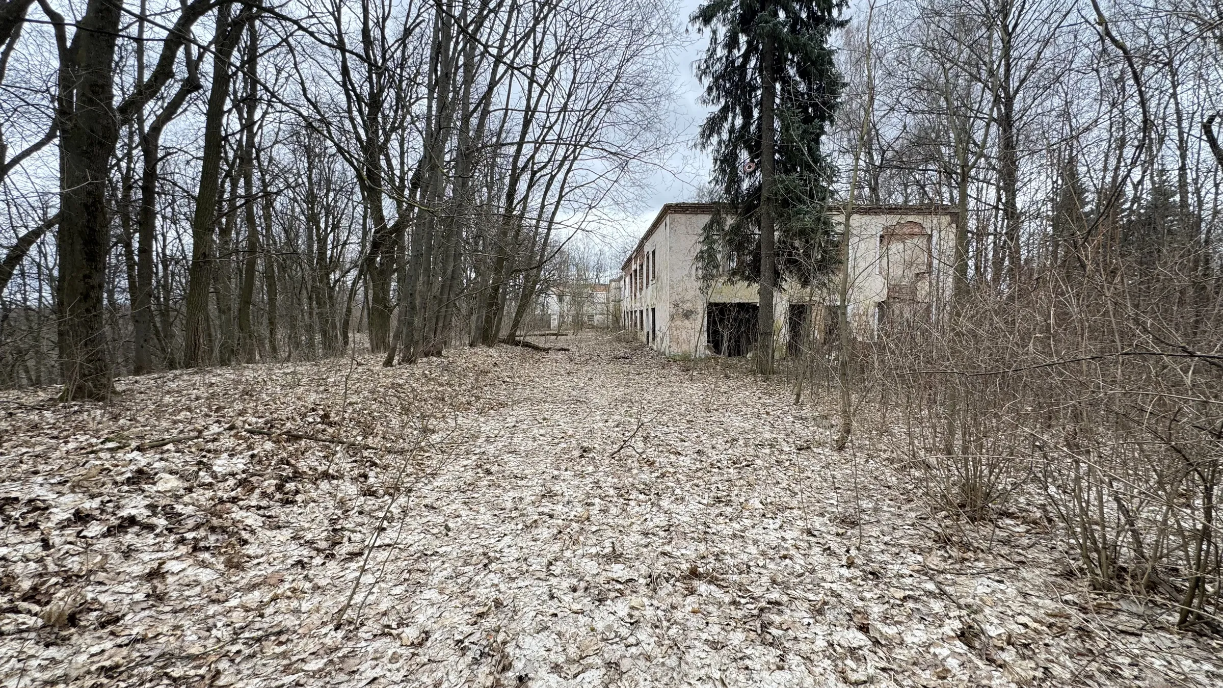 Старинная усадьба в лесу, фото 23