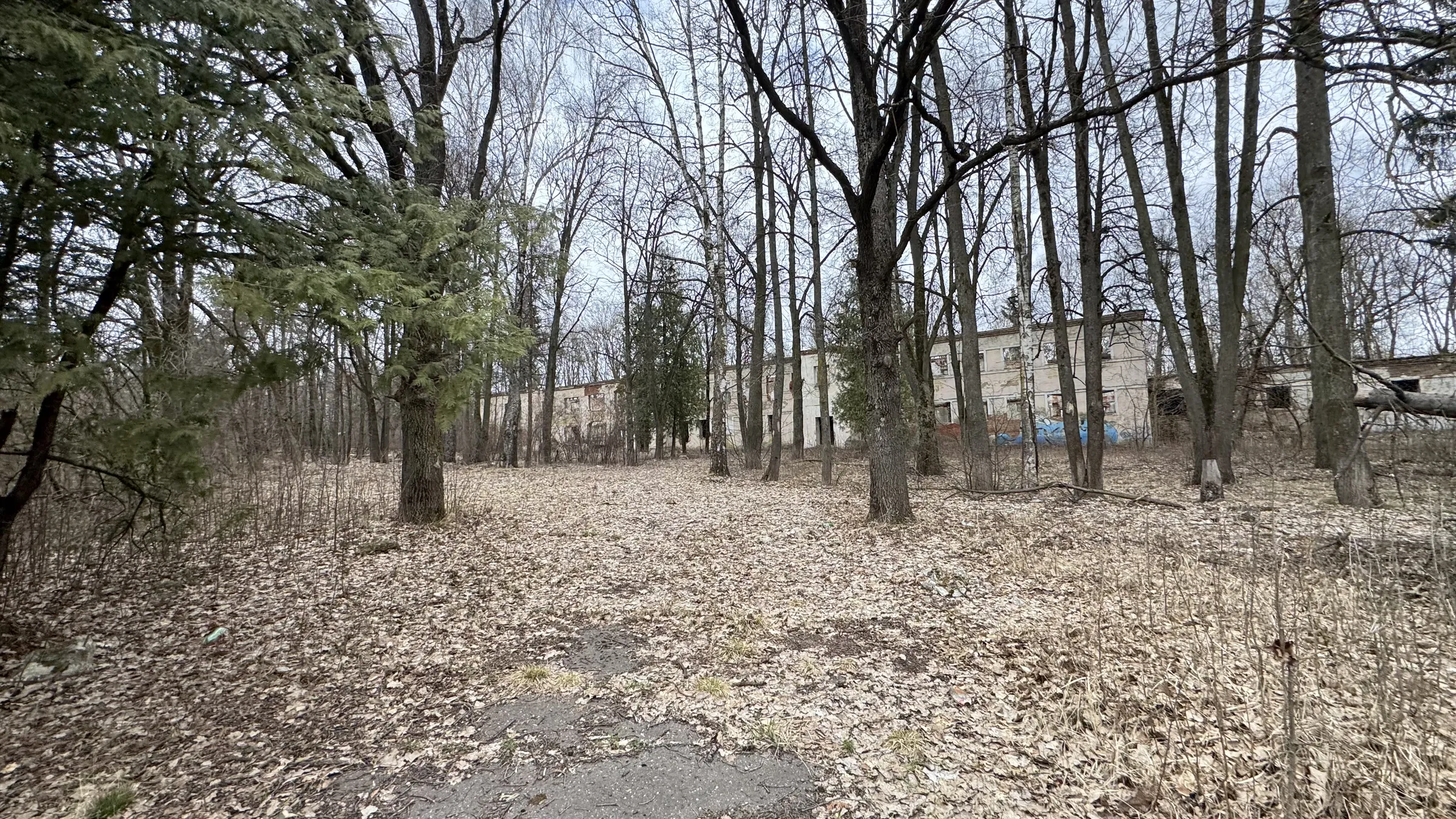 Старинная усадьба в лесу, фото 3