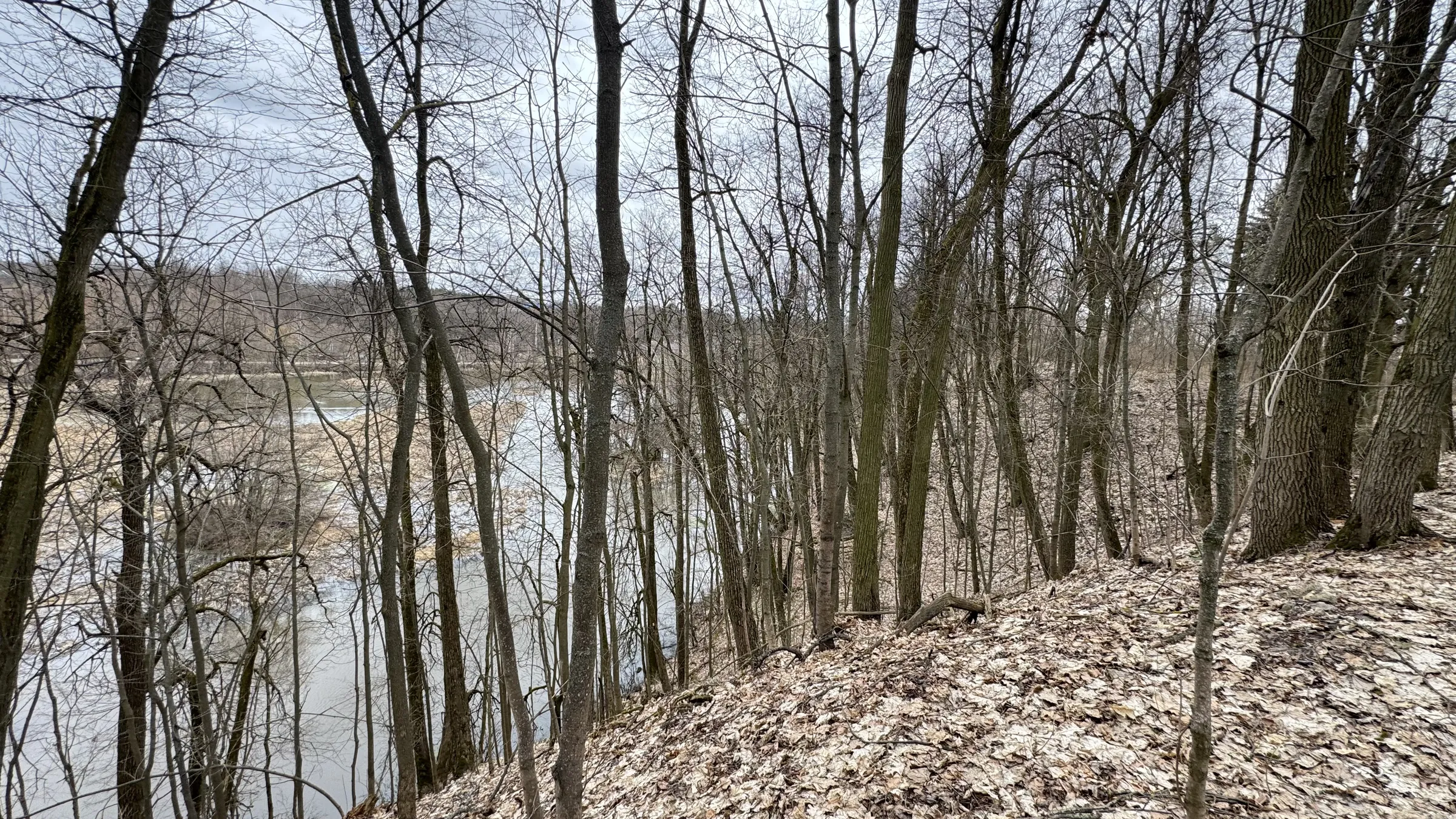 Старинная усадьба в лесу, фото 22