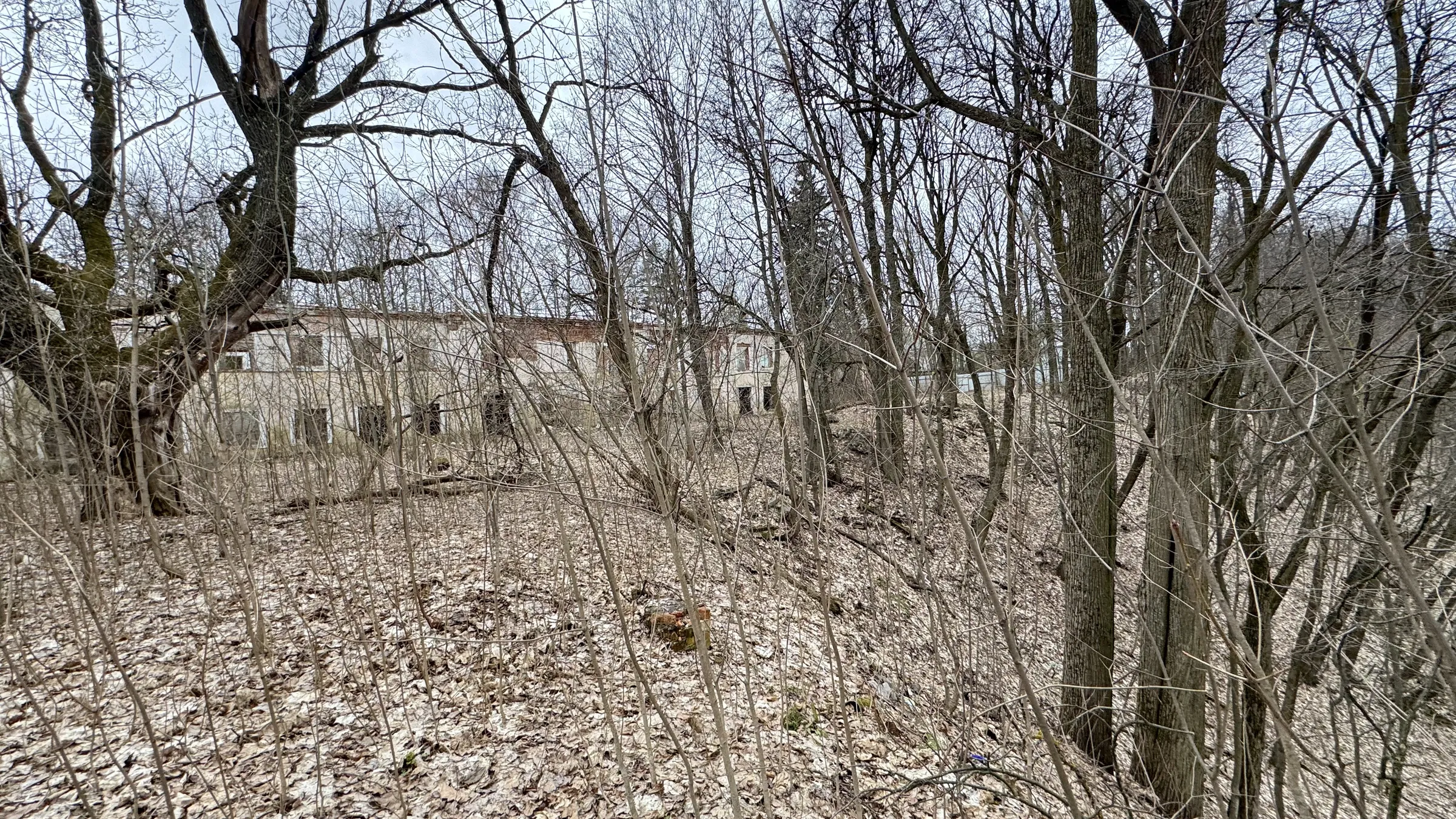 Старинная усадьба в лесу, фото 10