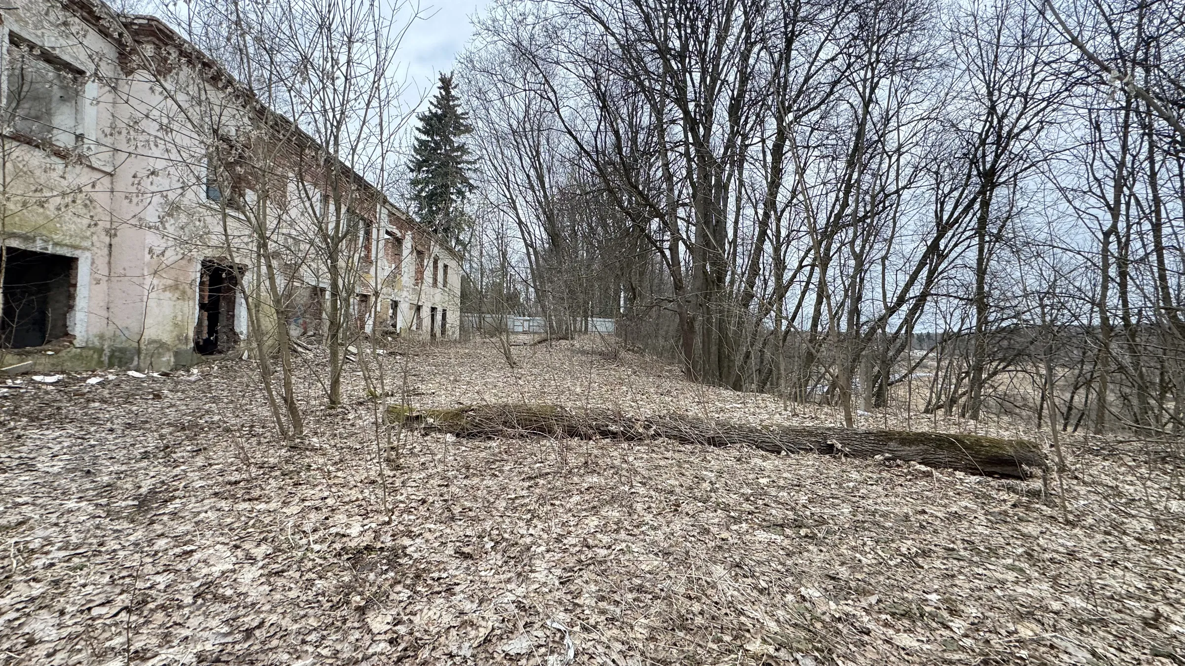 Старинная усадьба в лесу, фото 14
