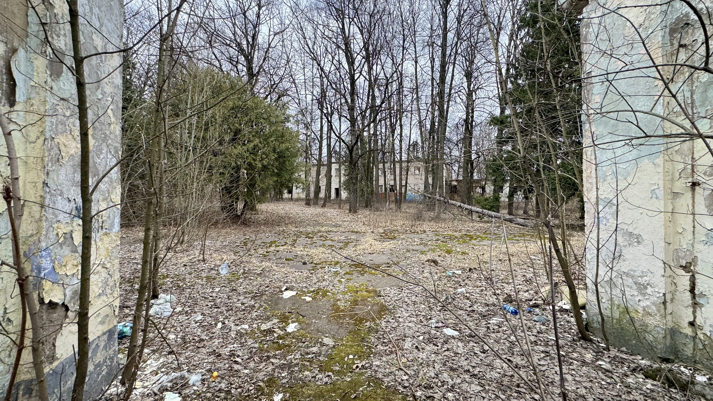 Старинная усадьба в лесу, фото 1
