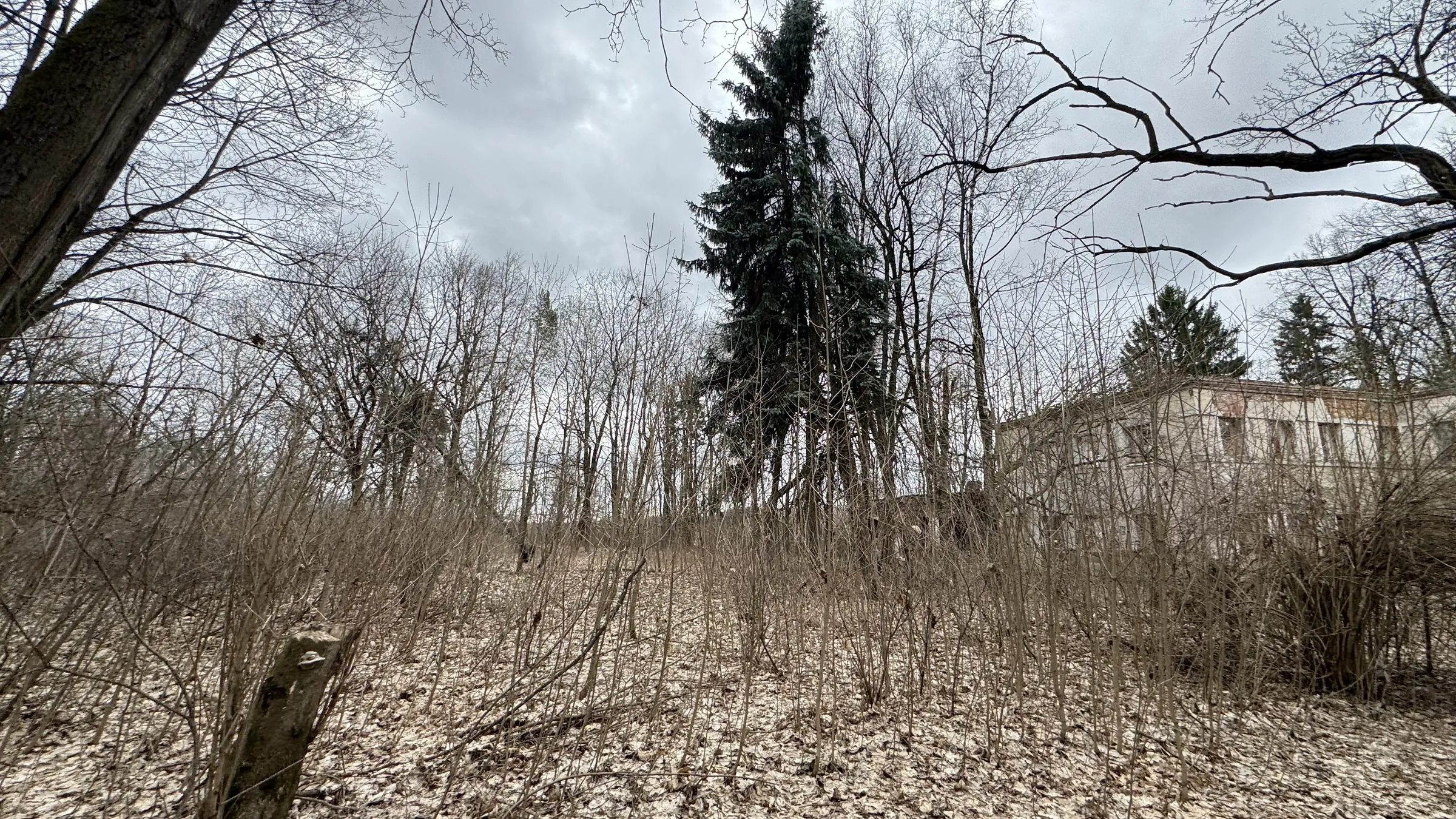Старинная усадьба в лесу, фото 12