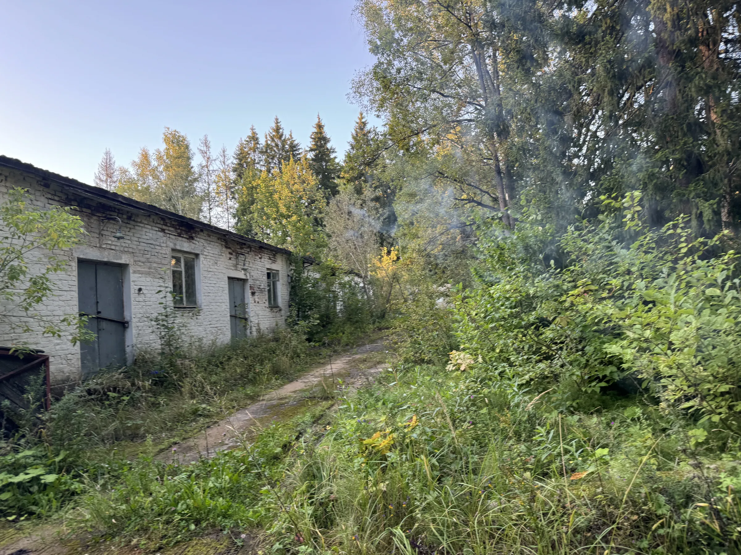 Заброшенный лагерь в лесу, фото 20