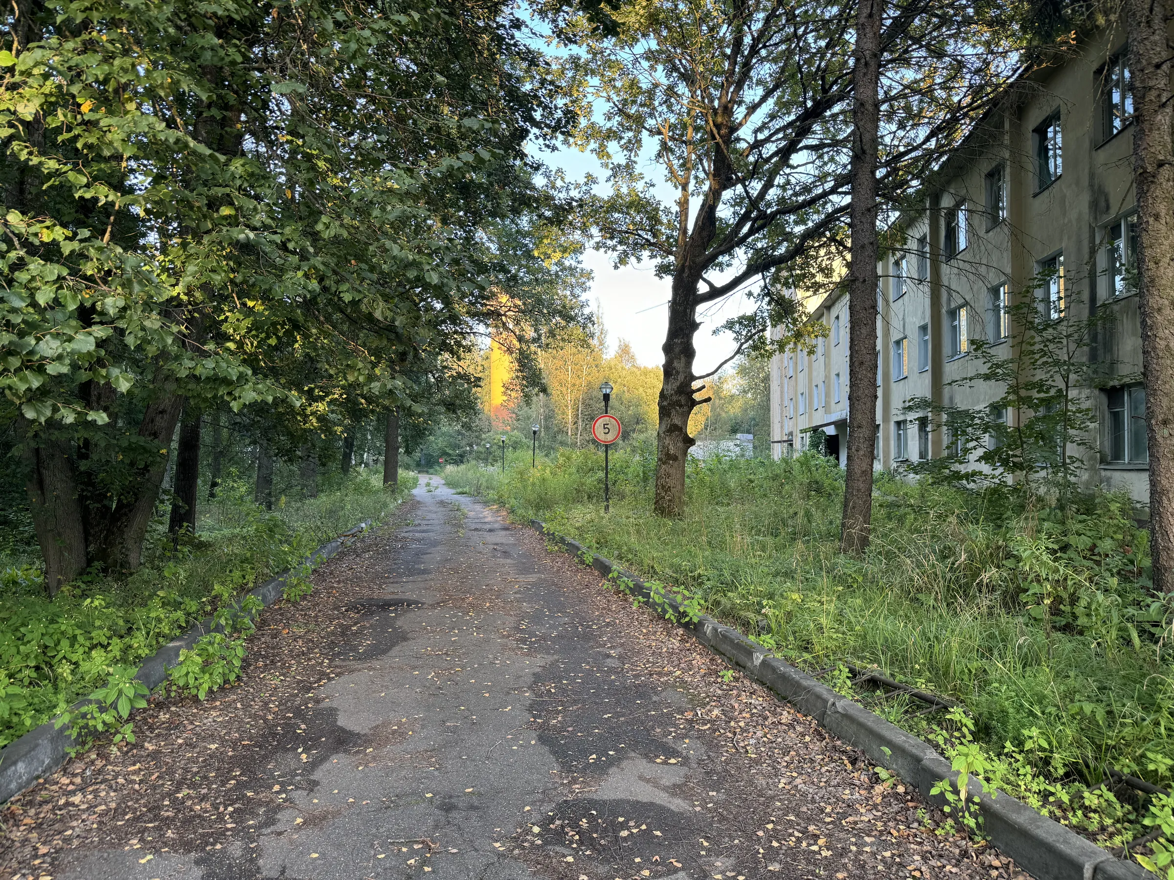 Заброшенный лагерь в лесу, фото 1