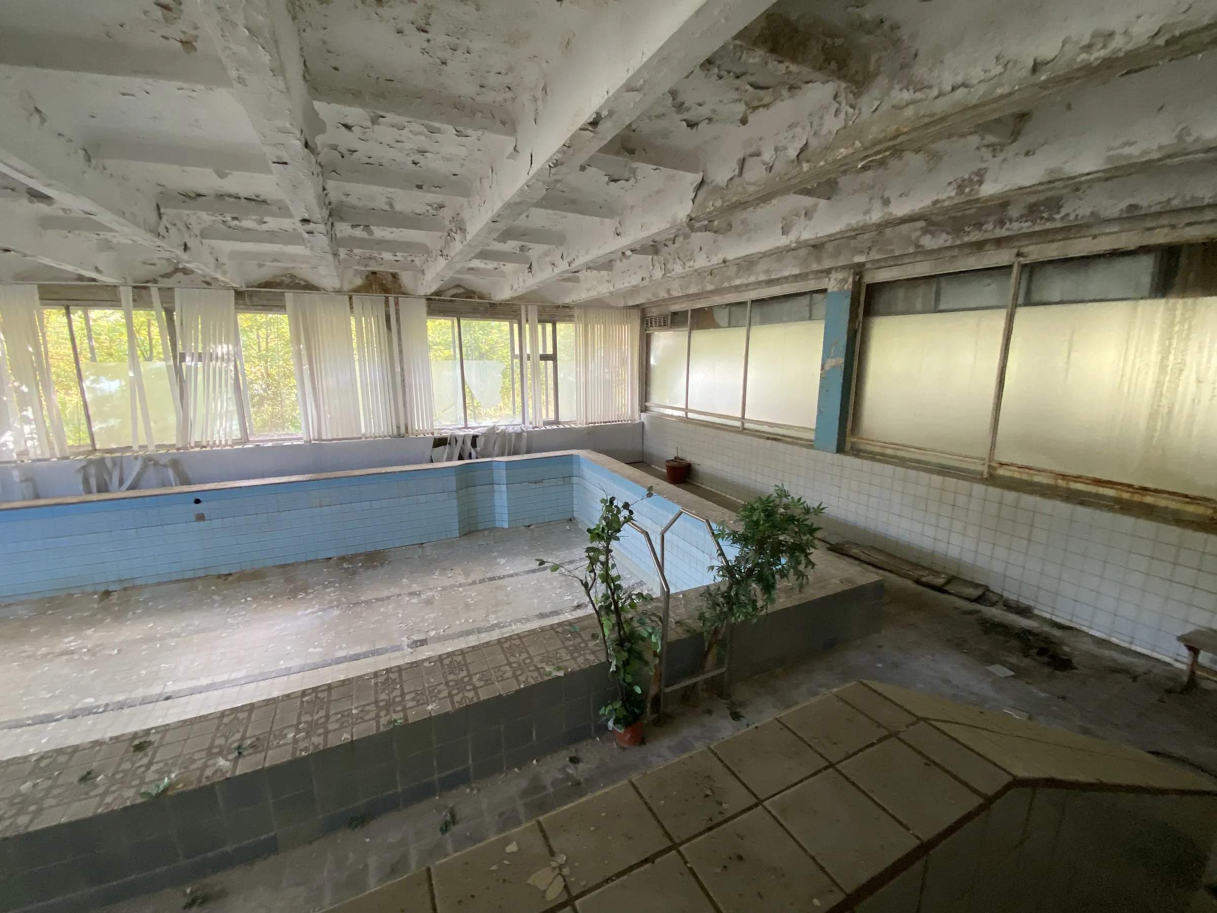 Заброшенный бассейн, фото 2