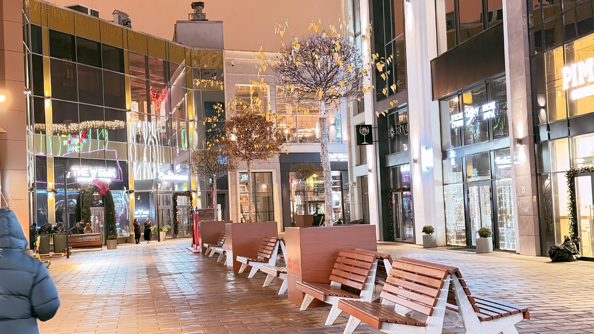 Торговый центр с колесом обозрения, фото 24