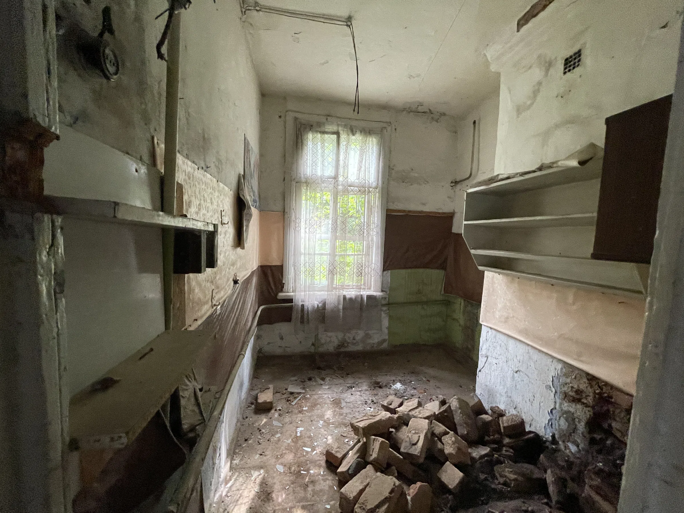 Заброшенная усадьба в лесу, фото 14