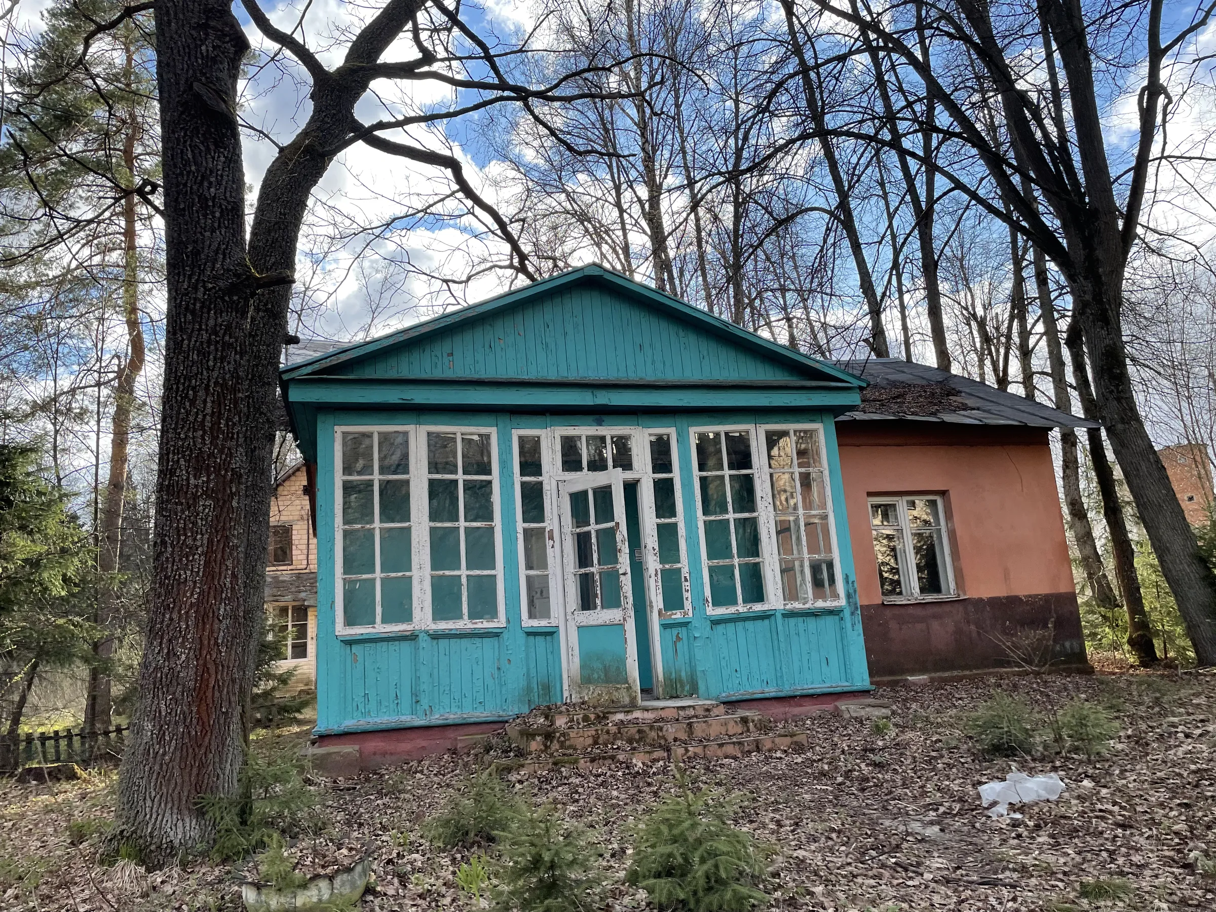 Бирюзовая Веранда в Лесу, фото 6