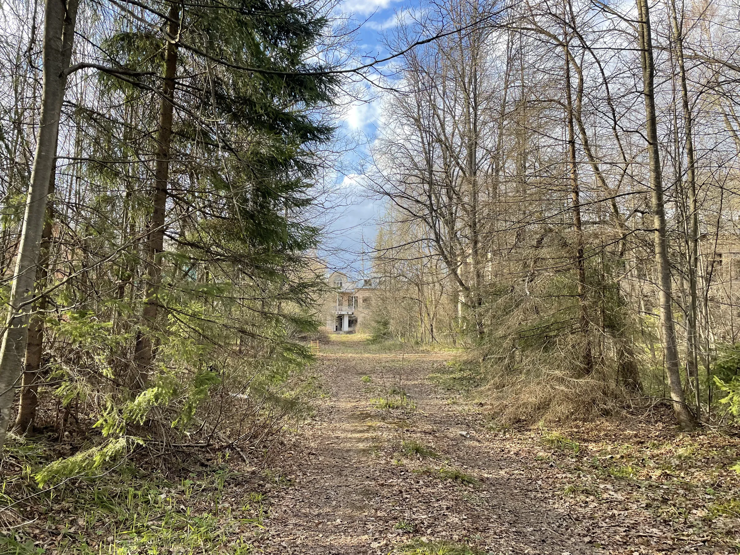 Бирюзовая Веранда в Лесу, фото 3