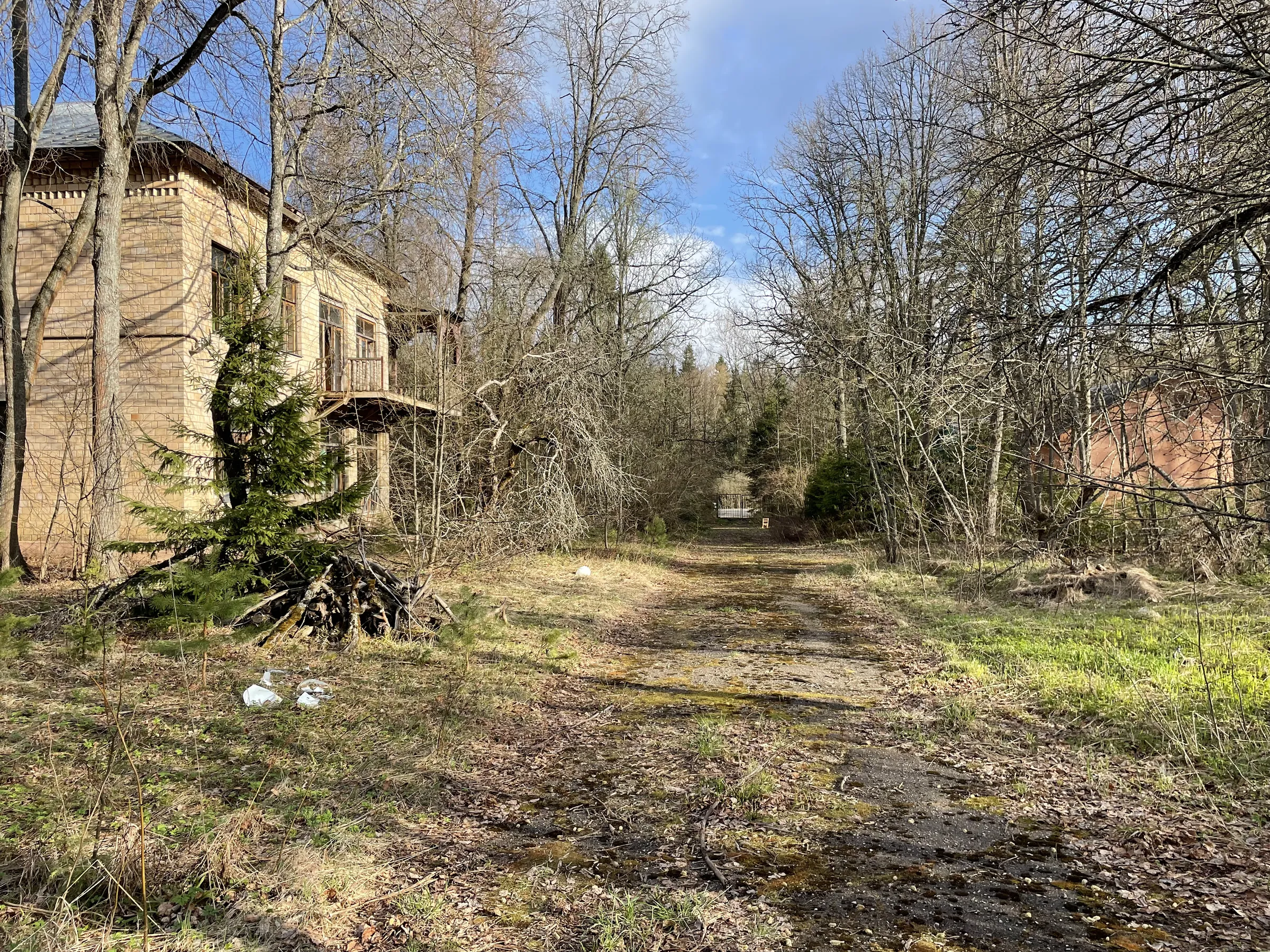 Бирюзовая Веранда в Лесу, фото 10