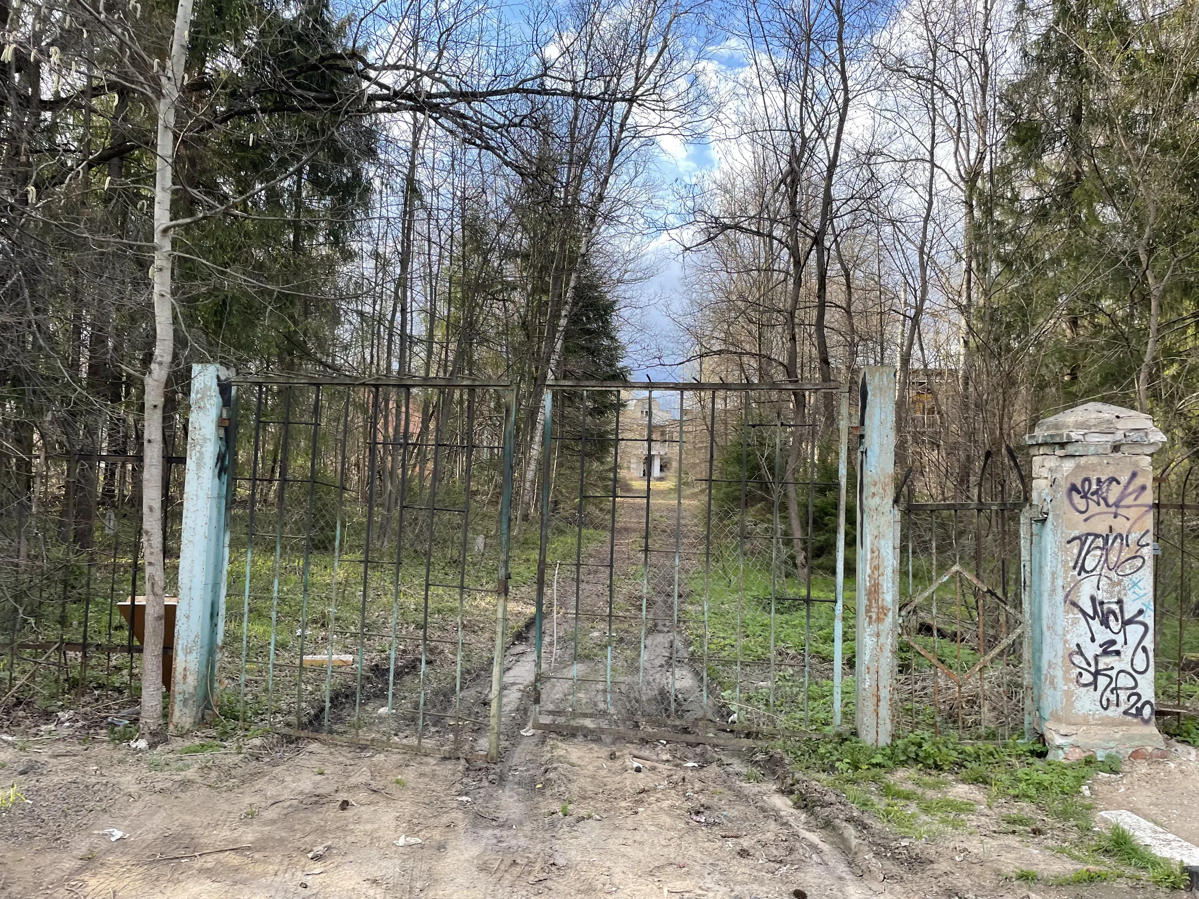 Бирюзовая Веранда в Лесу, фото 2