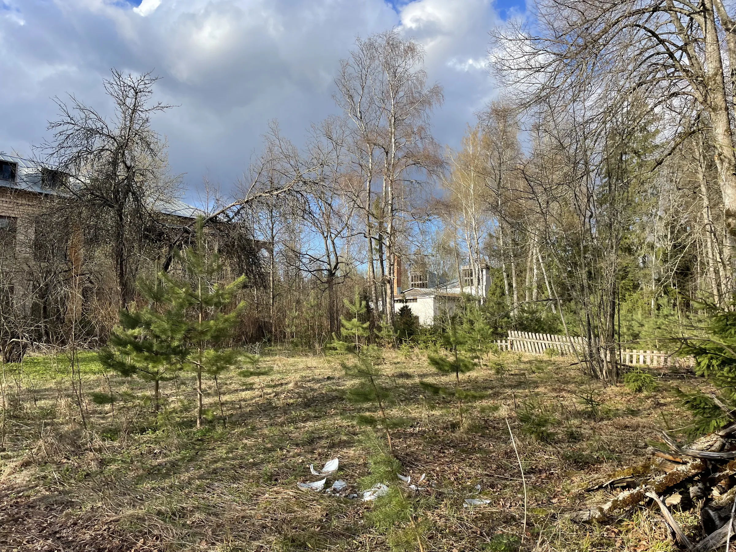 Бирюзовая Веранда в Лесу, фото 9