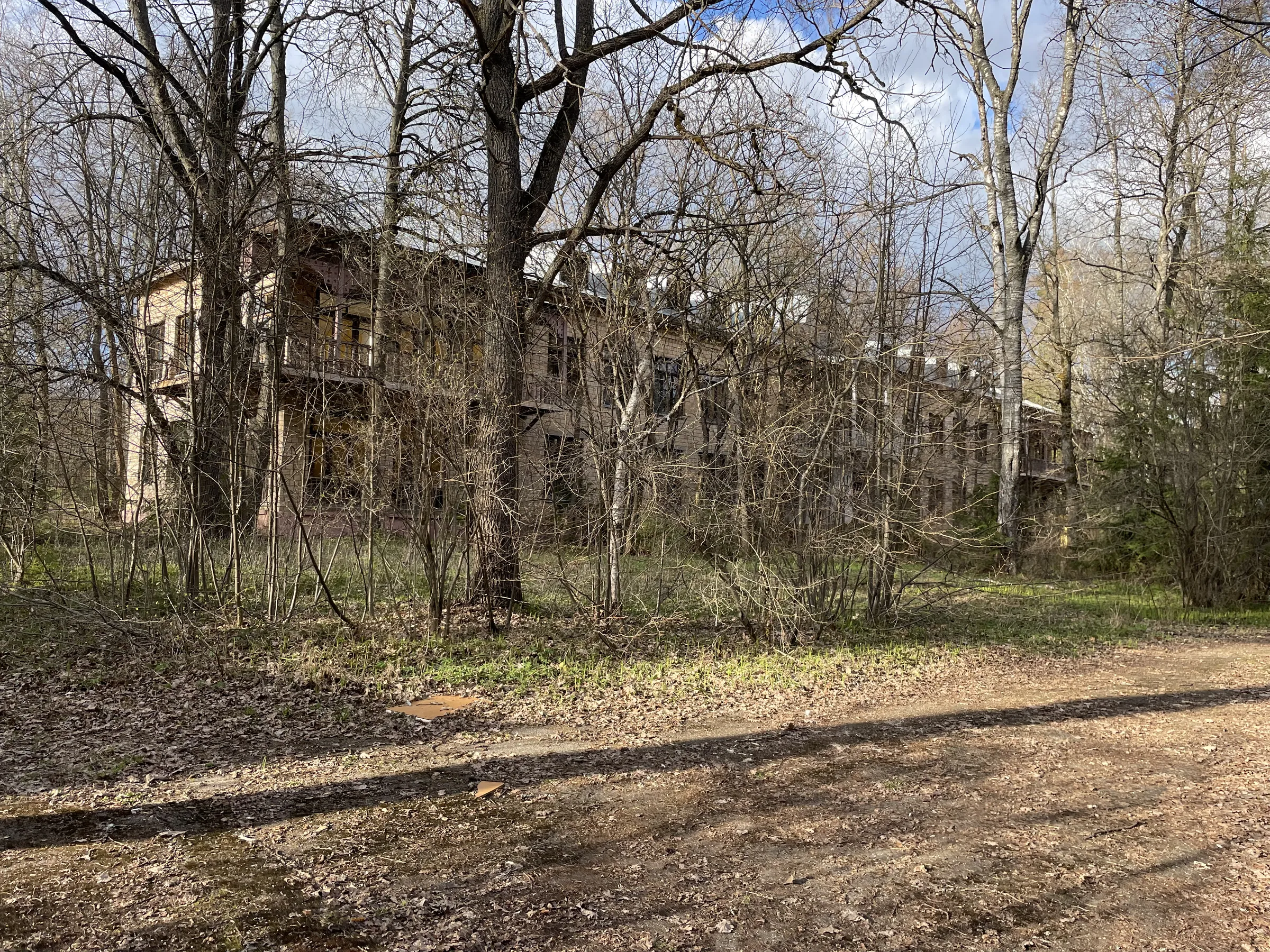 Бирюзовая Веранда в Лесу, фото 4