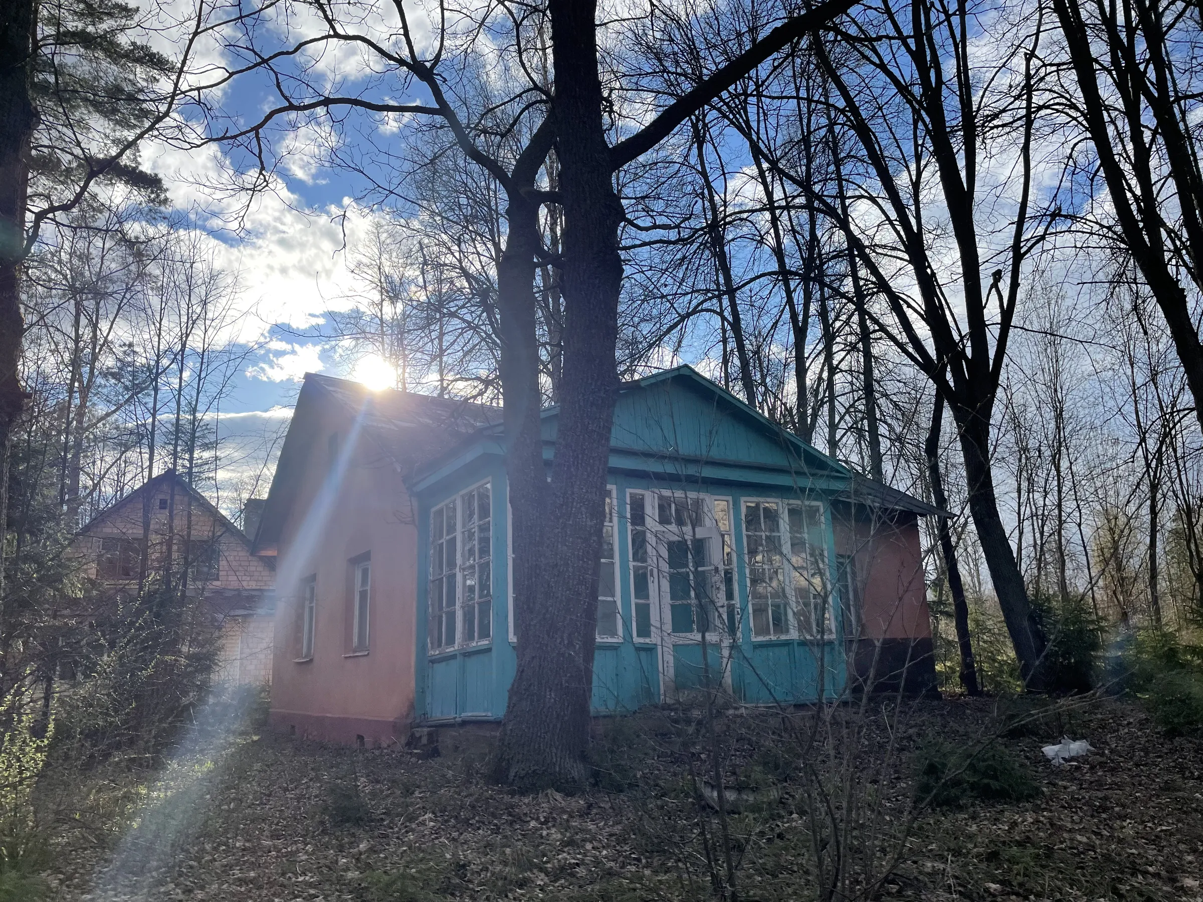 Бирюзовая Веранда в Лесу, фото 5