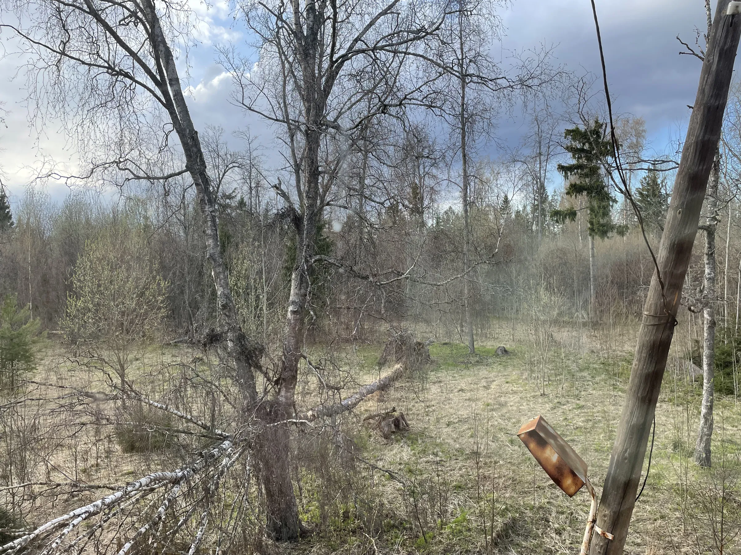 Бирюзовая Веранда в Лесу, фото 24