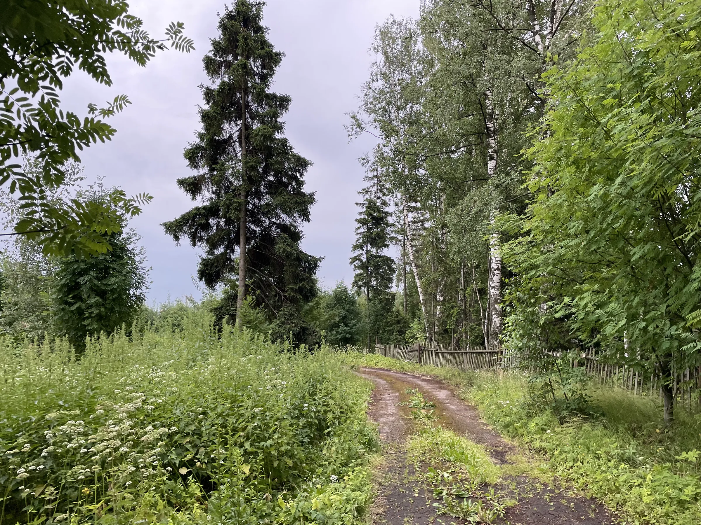 Дача в поле, фото 3