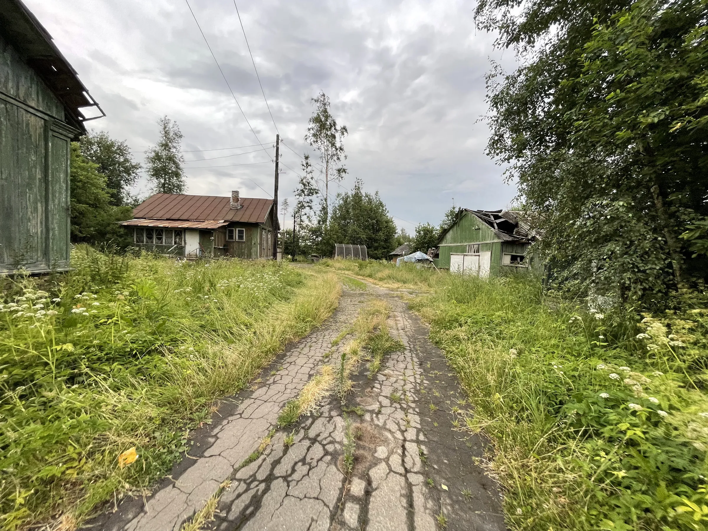 Дача в поле, фото 9