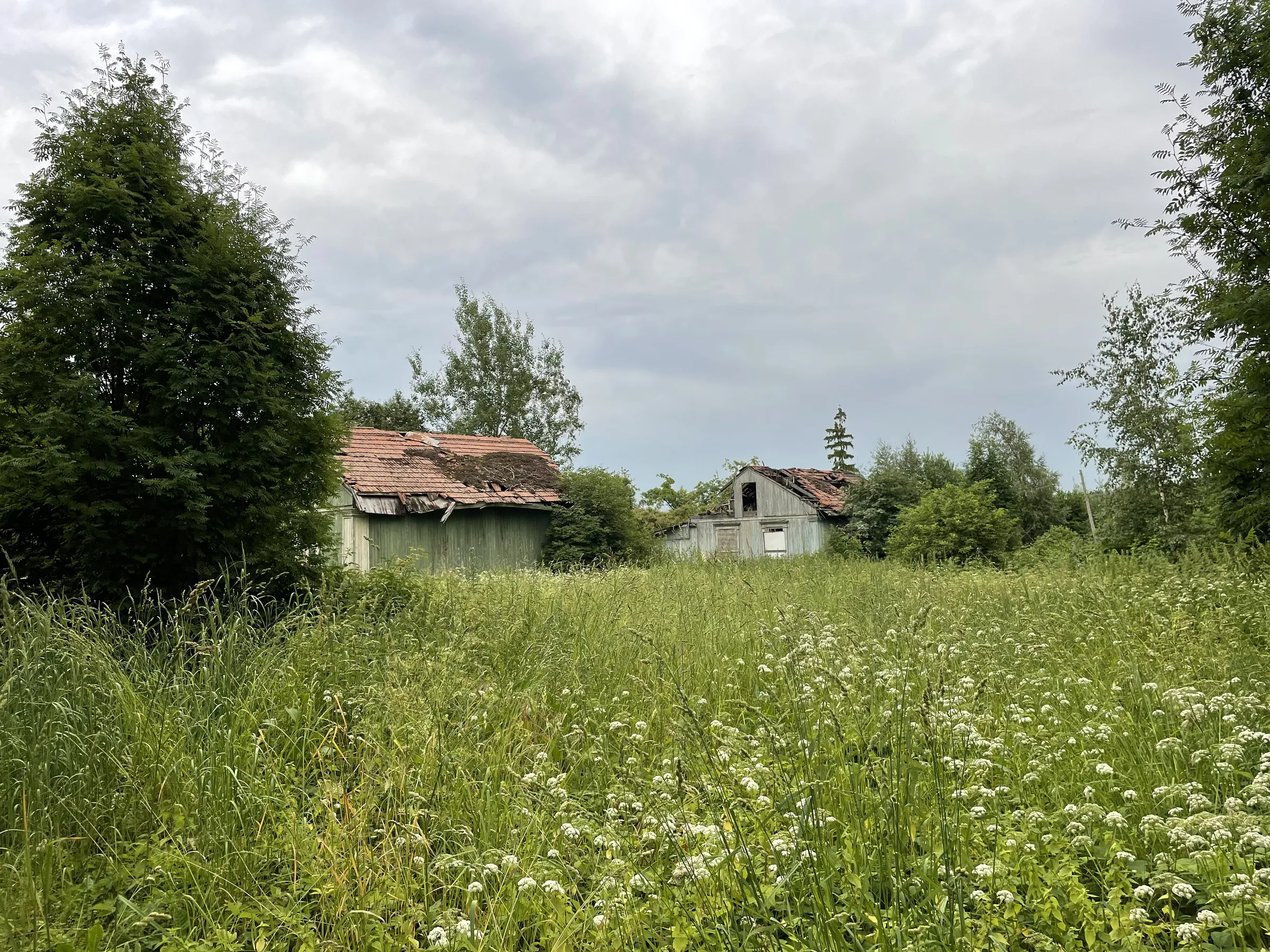 Дача в поле, фото 1