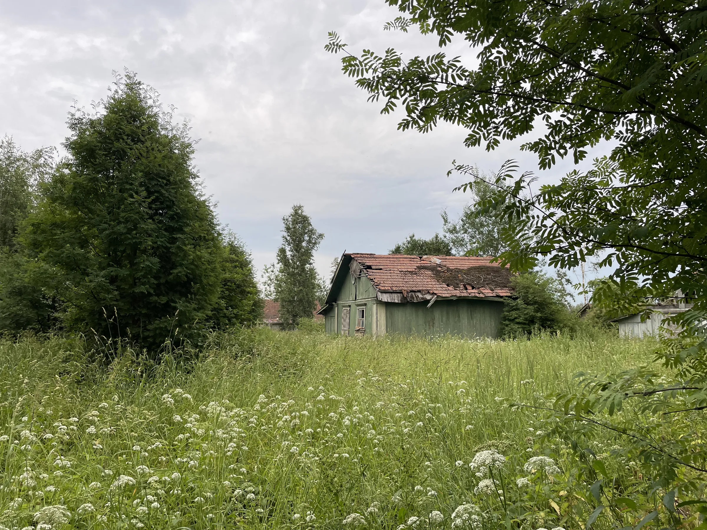 Дача в поле, фото 2