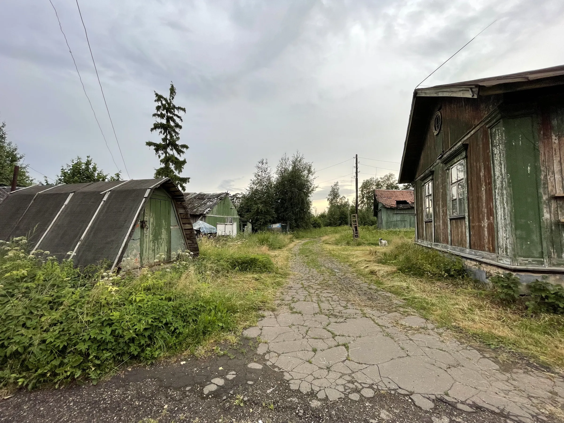 Дача в поле, фото 13