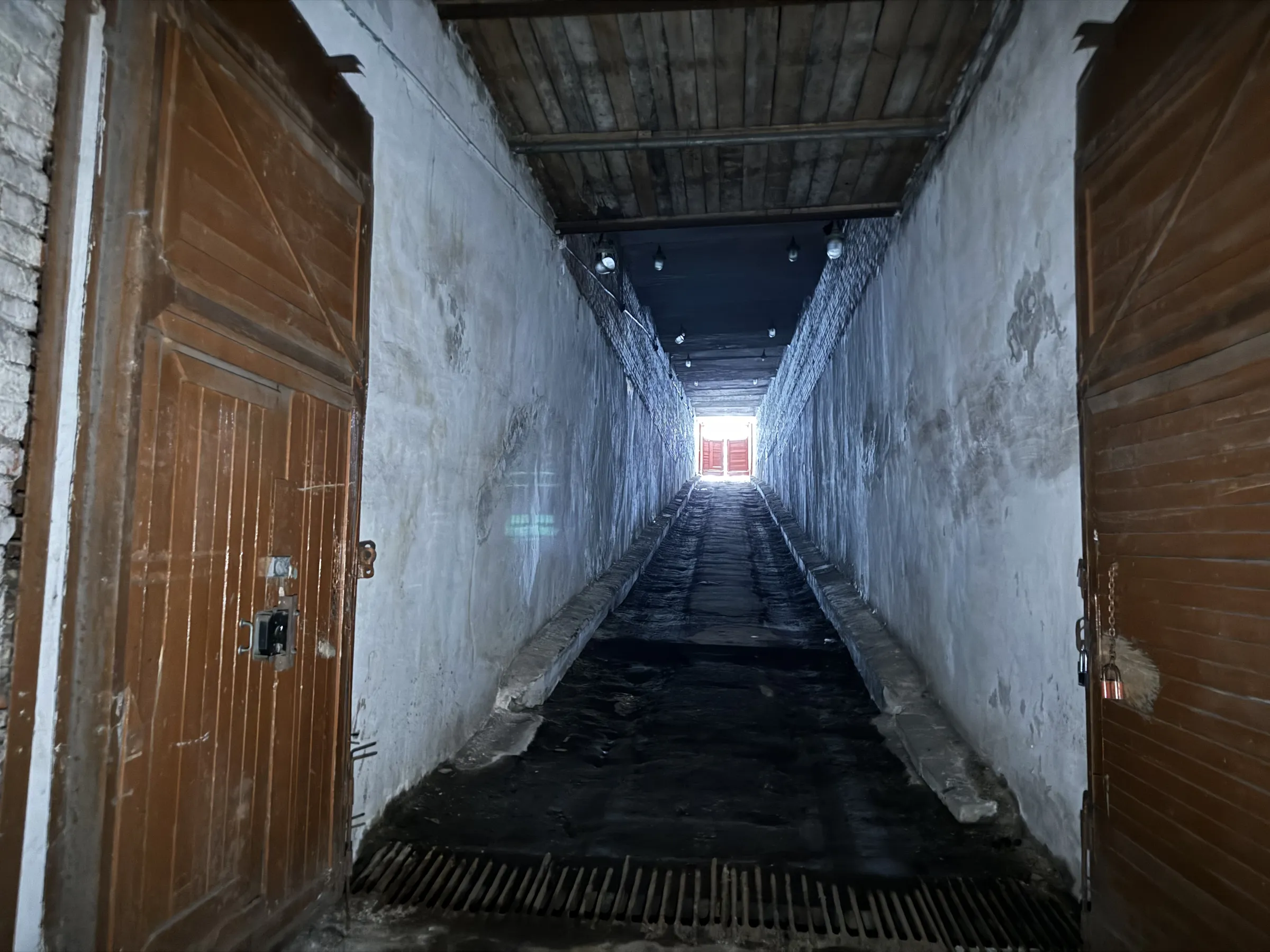 Ретро-подвал с плесенью, фото 10